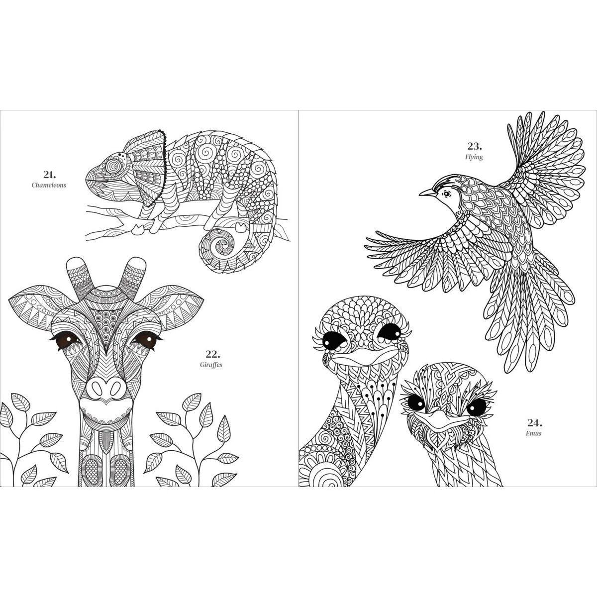 3 Gratitude 365 Colouring Book, 3 of 4