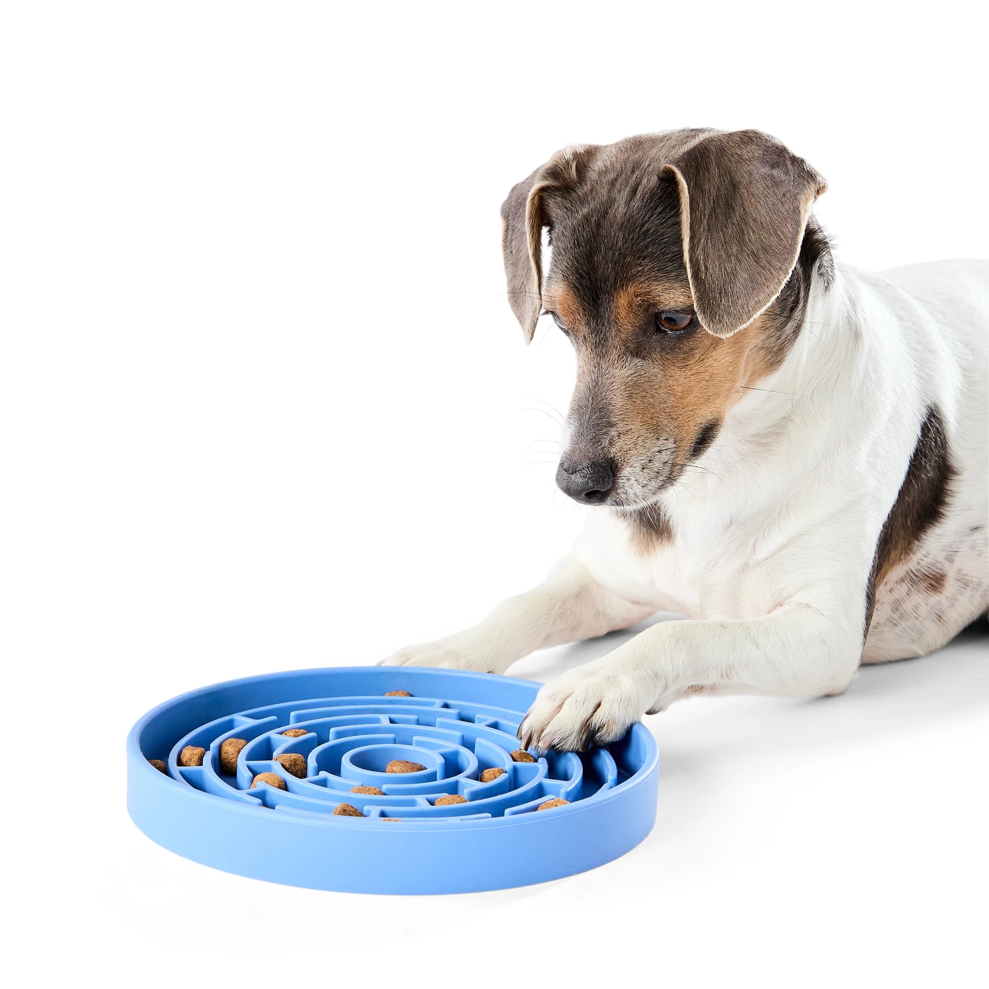 1 Pet Silicone Feeding Plate - Blue, 1 of 7