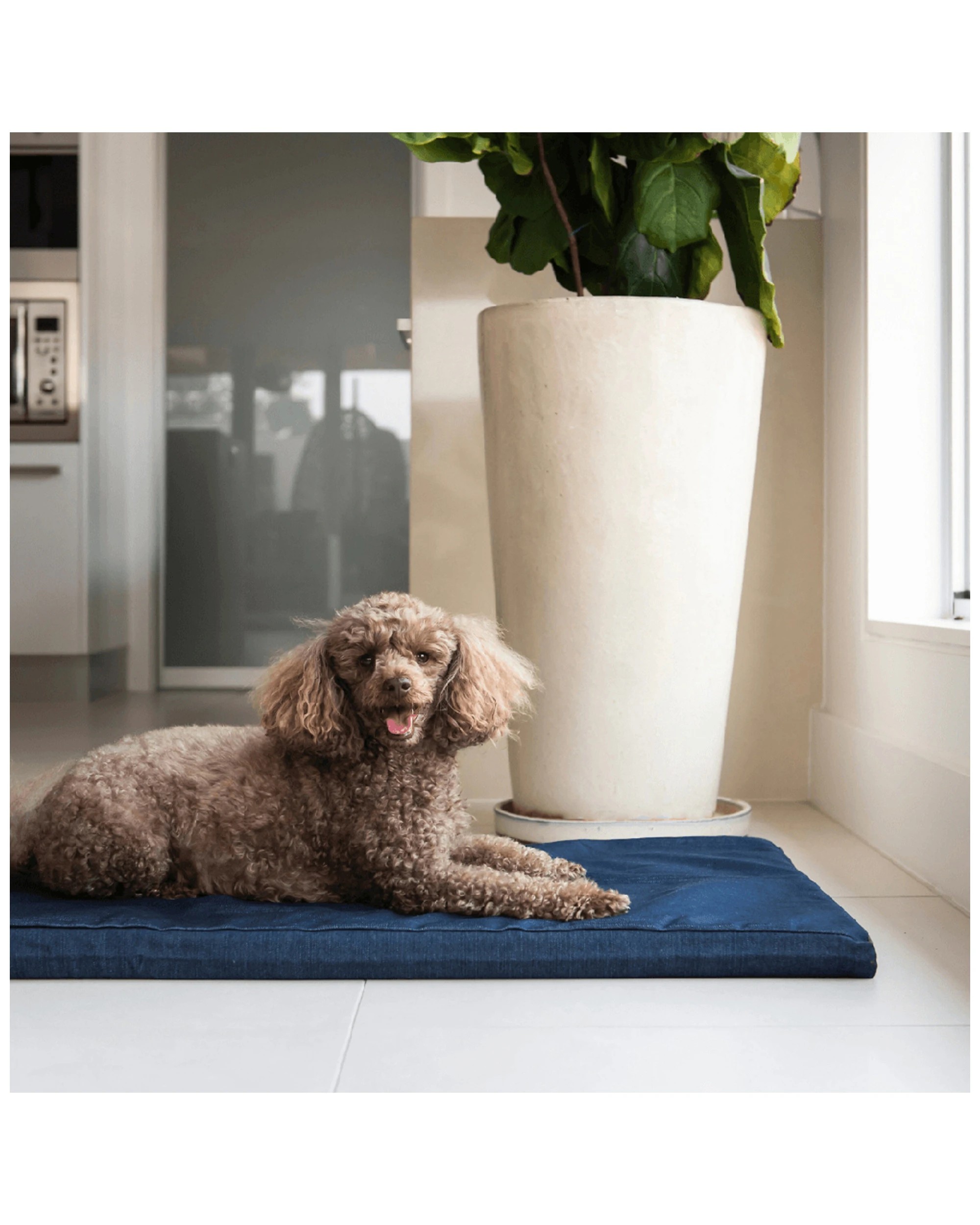 3 Superior Pet Dog Mat Foam Bed Denim w/ Zipper Medium, 3 of 3