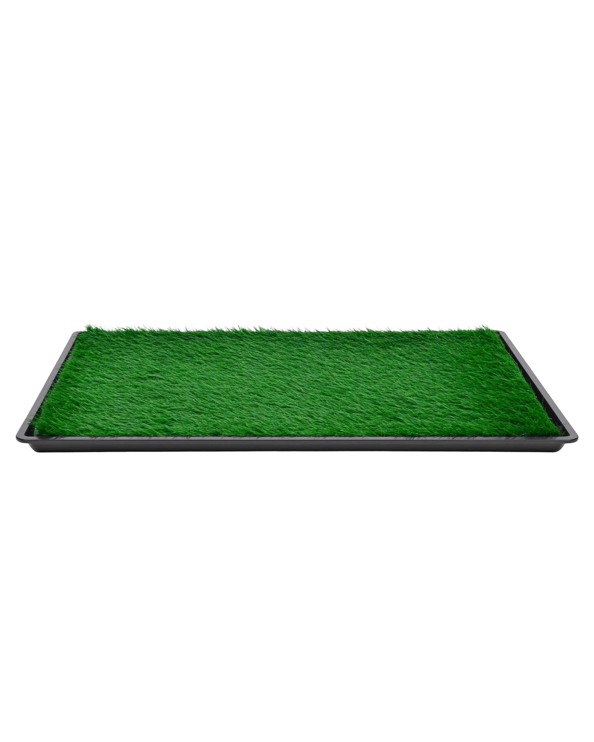 3 Advwin Dog Potty Training Pee Pad Mat Toilet, 3 of 7