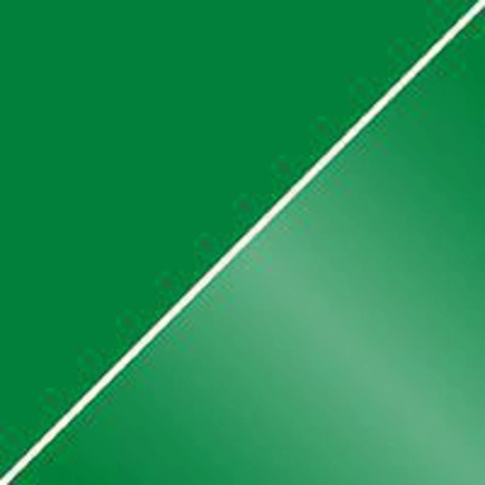 4 PILOT Frixion Ball Erasable Gel Pen 0.7mm Green 12 Pack, 4 of 4