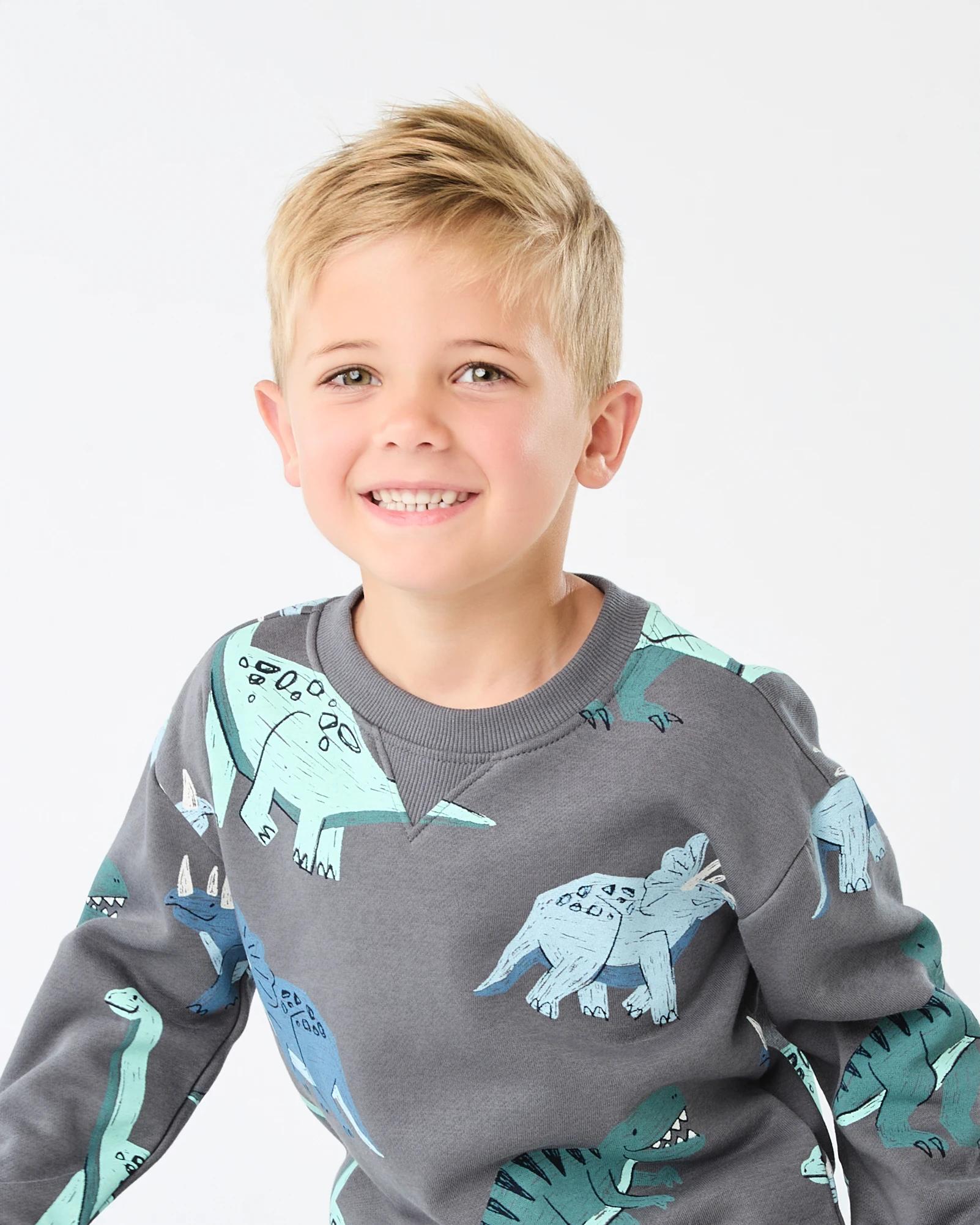 3 All Over Print Crew Neck Sweatshirt Gry Dino, 3 of 6
