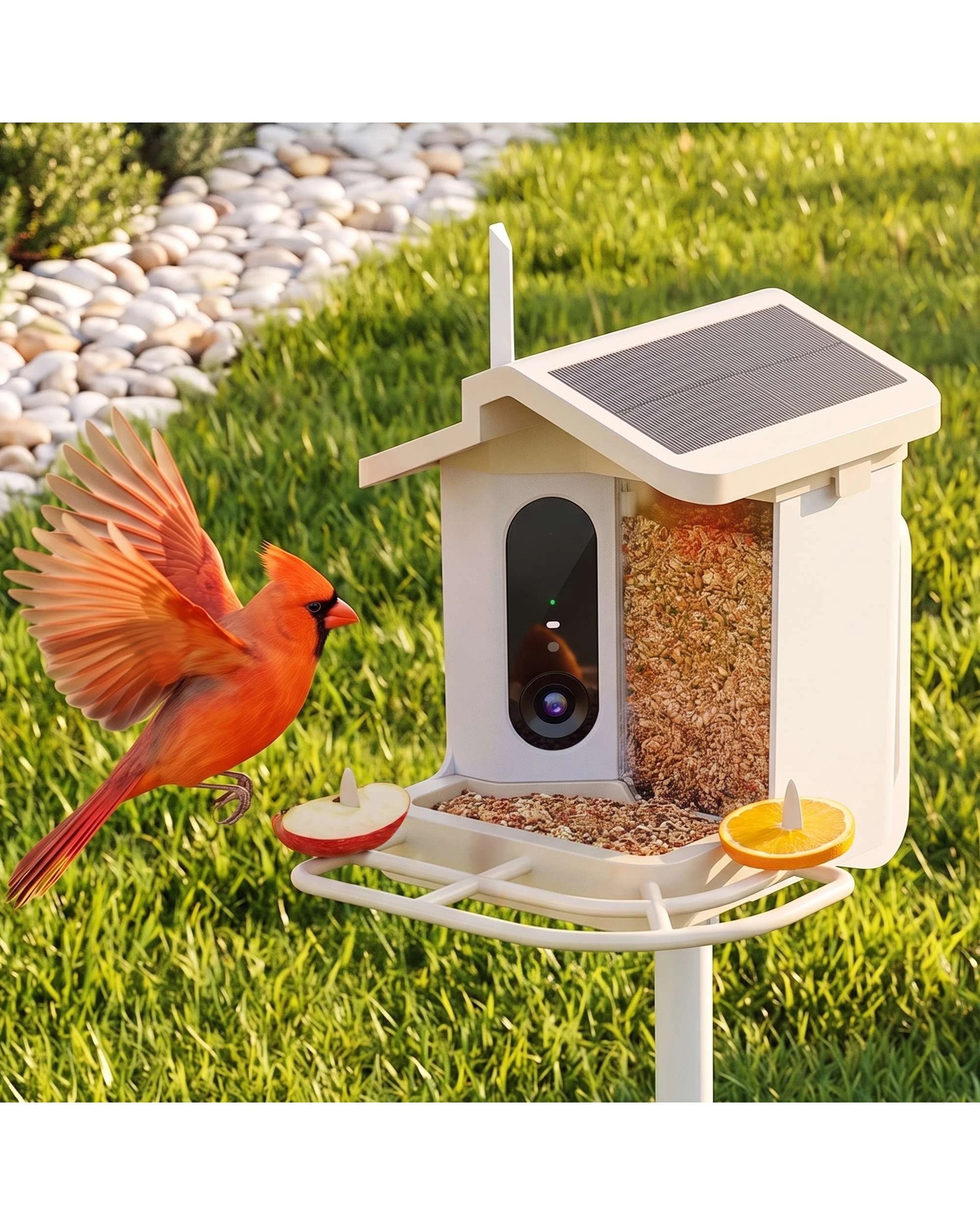 2 Advwin Smart Bird Feeder with Camera Solar Powered 4K HD Live Video, 2 of 10