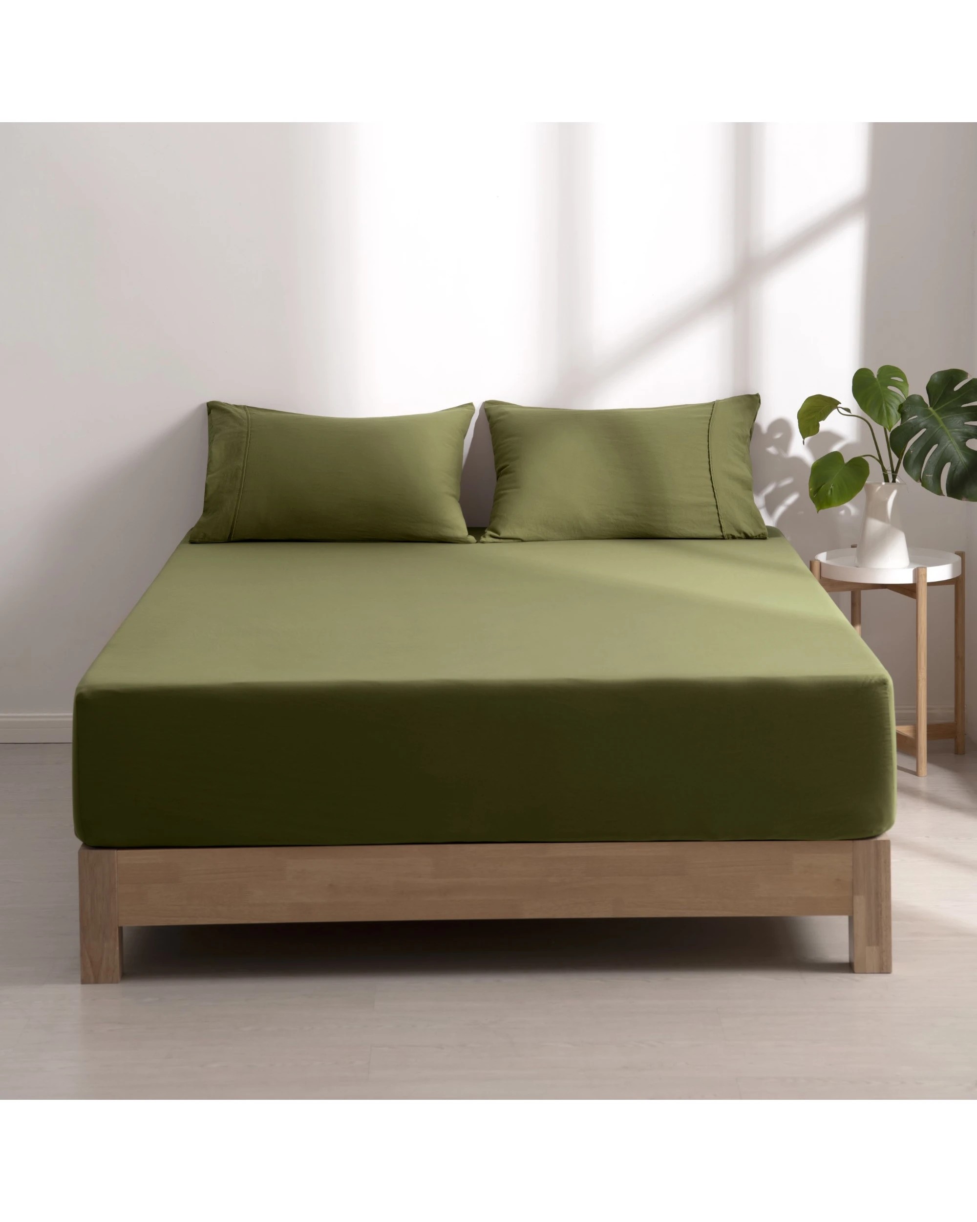 1 Dreamaker Superfine Washed Microfibre Combo Fitted Sheet Set - King Single Bed - Olive, 1 of 8