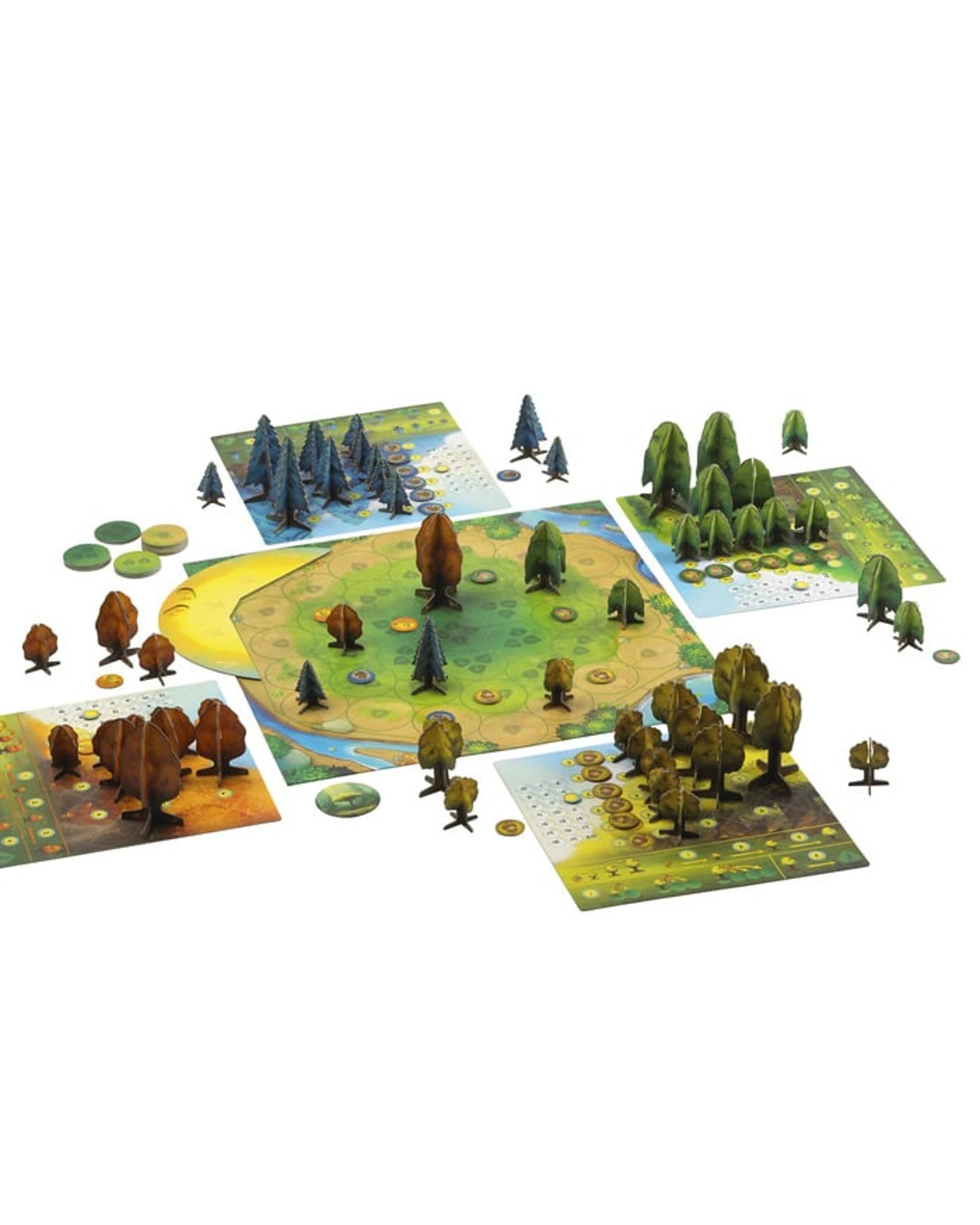 3 Photosynthesis Board Game, 3 of 3