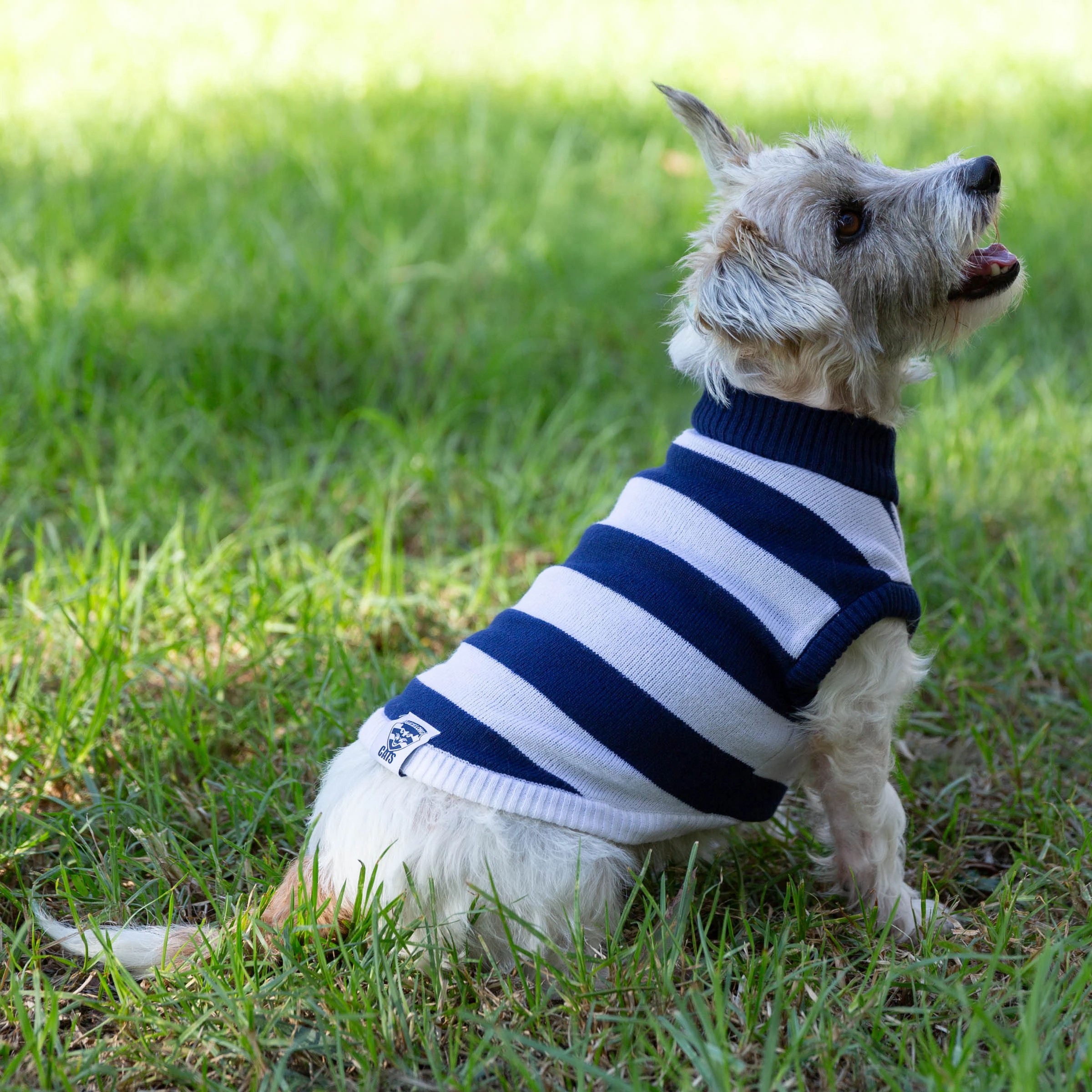 4 AFL Geelong Cats Pet Jumper - Small, 4 of 4