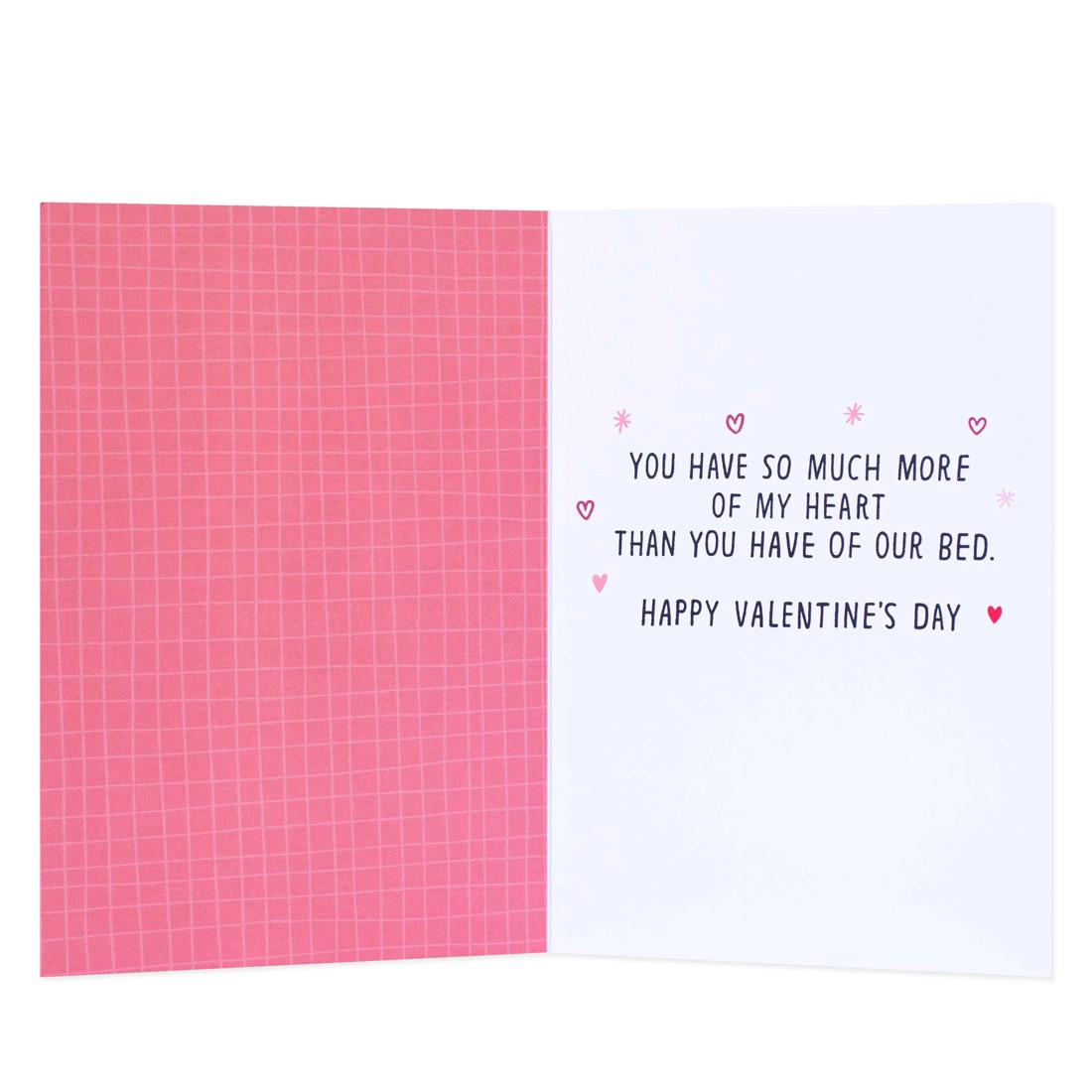 2 Hallmark Shoebox Valentine's Day Card - My Side, Pet Zone, Your Side, 2 of 3