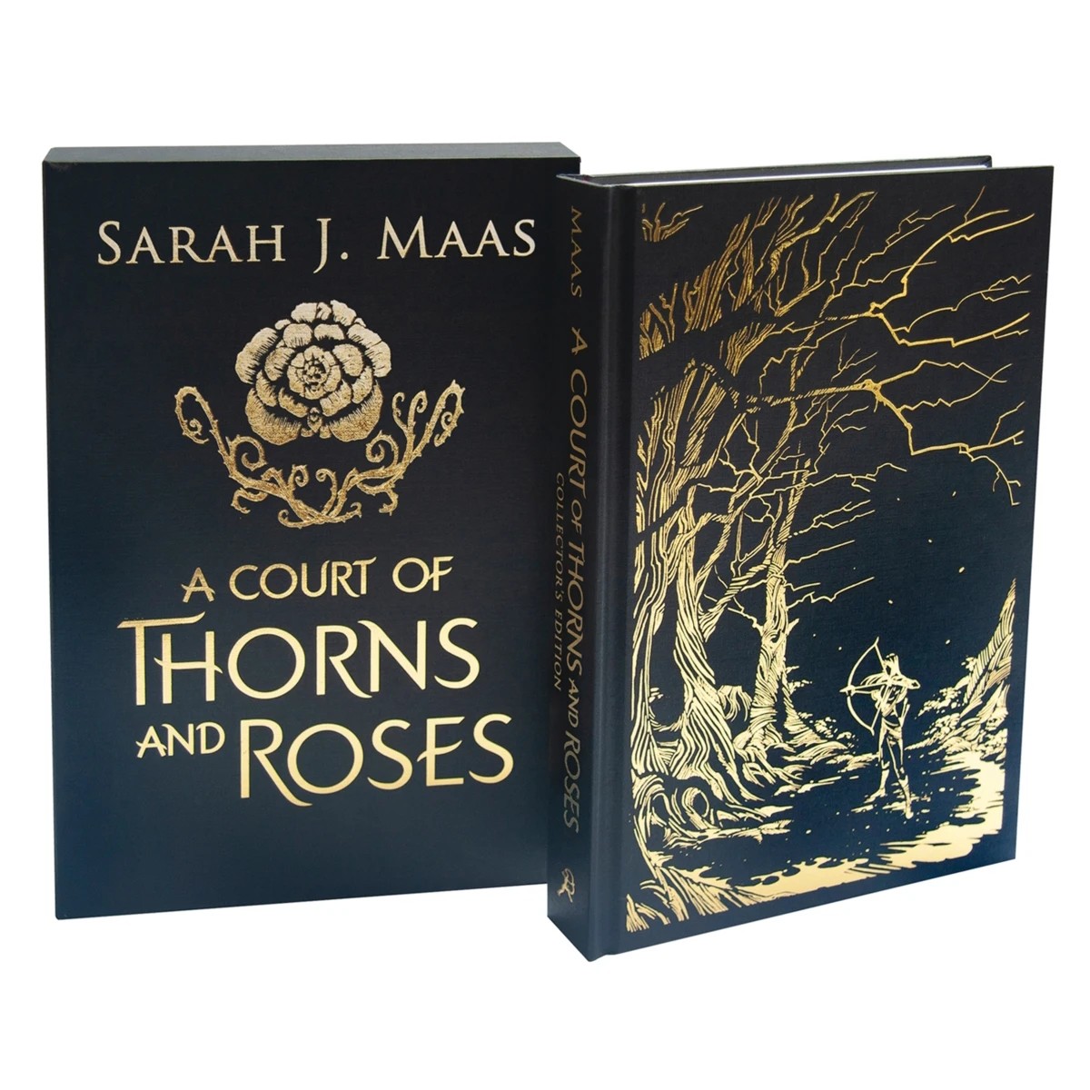 1 A Court of Thorns and Roses by Sarah J. Maas - Book, 1 of 1