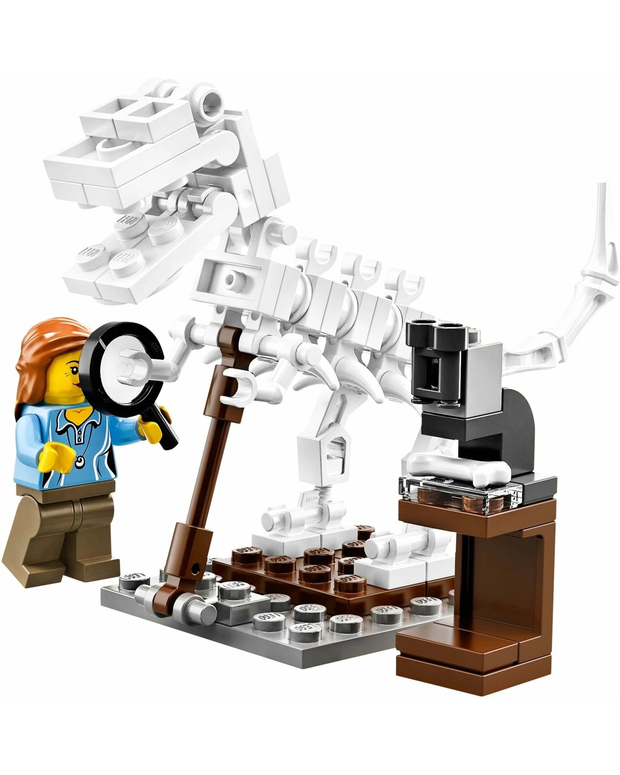 3 LEGO 21110 Ideas and CUUSOO Research Institute, 3 of 5