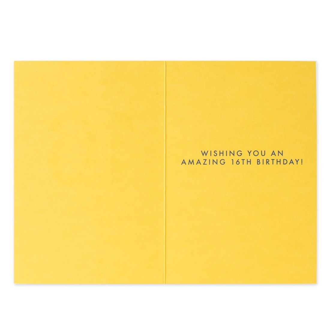 2 Connections from Hallmark 16th Birthday Card - Get Celebrating!, 2 of 3