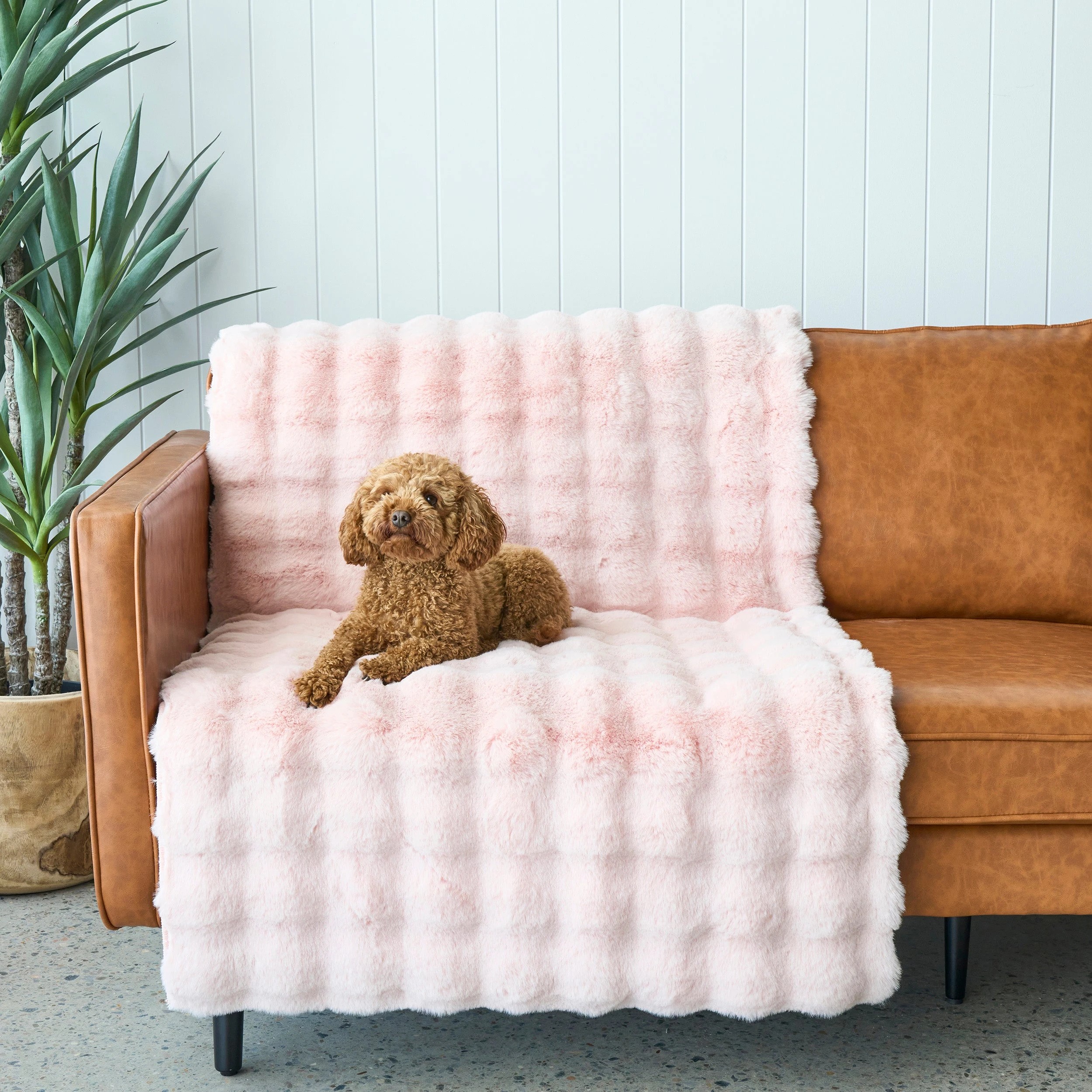 5 Common Ground Rugs PureForm 160x100cm - Small Washable Pet Friendly Rug - Pink, 5 of 10