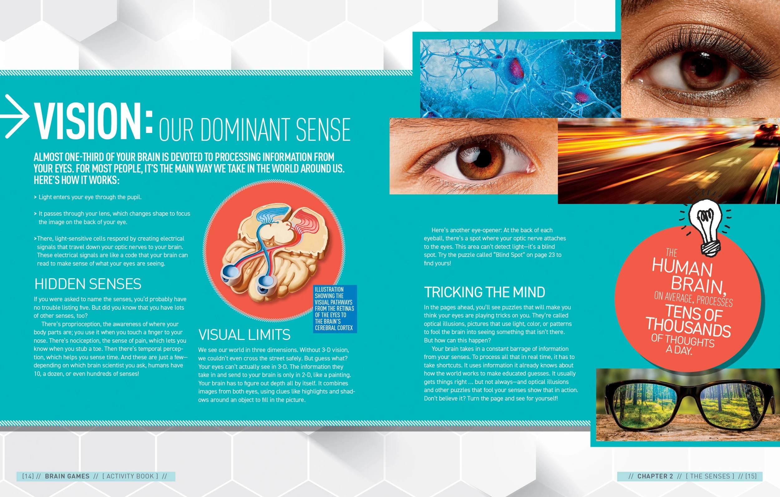 3 National Geographic Kids: Brain Games Big Book of Boredom Busters by Stephanie Warren Drimer and Dr. Gareth Moore - Book, 3 of 4