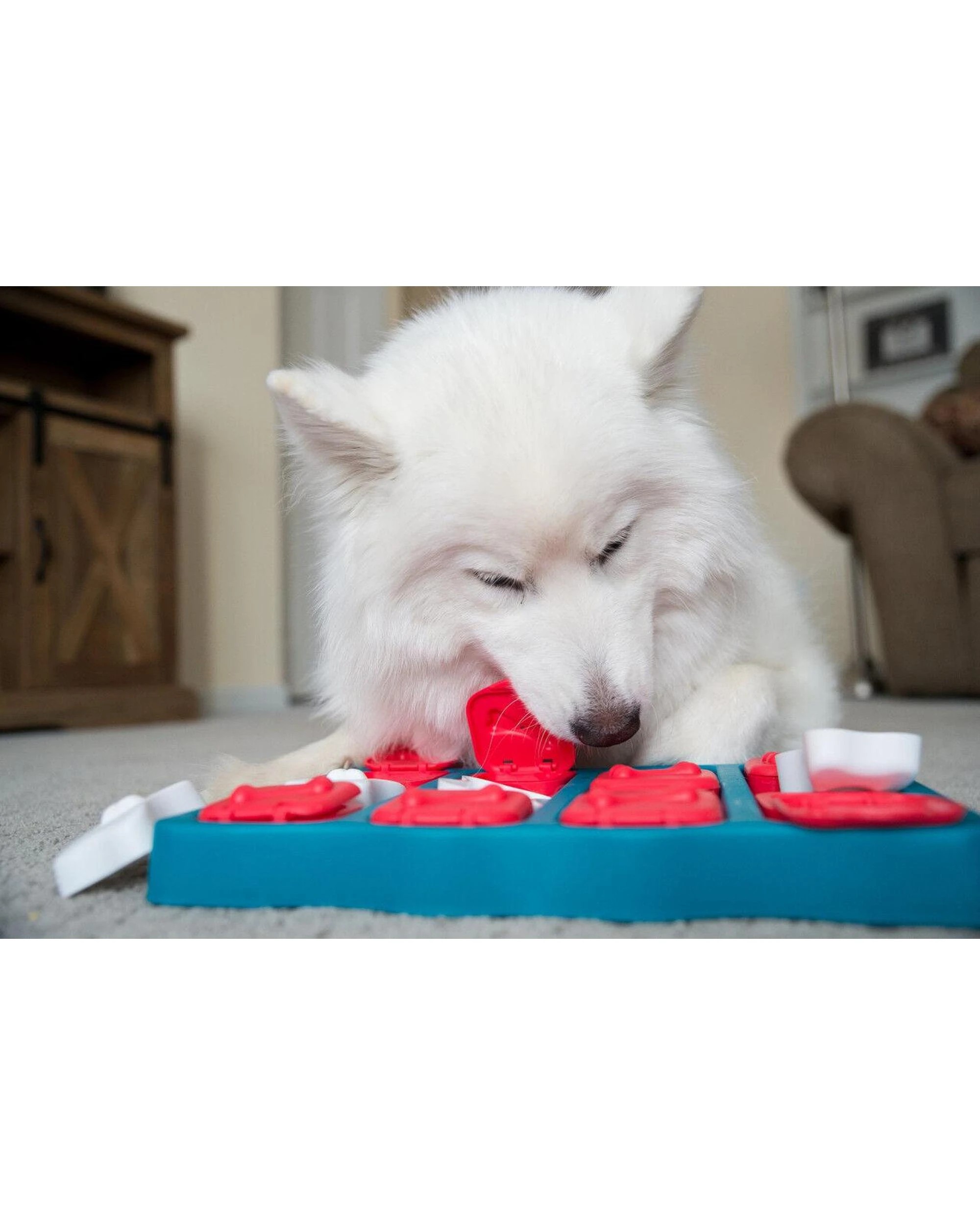 8 Outward Hound Nina Ottosson Dog Brick Puzzle Game Level 2 Dog Toy Blue, 8 of 9