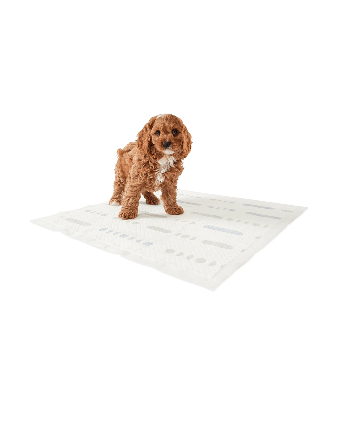 1 20 Pack Scented Puppy Pads, 1 of 7