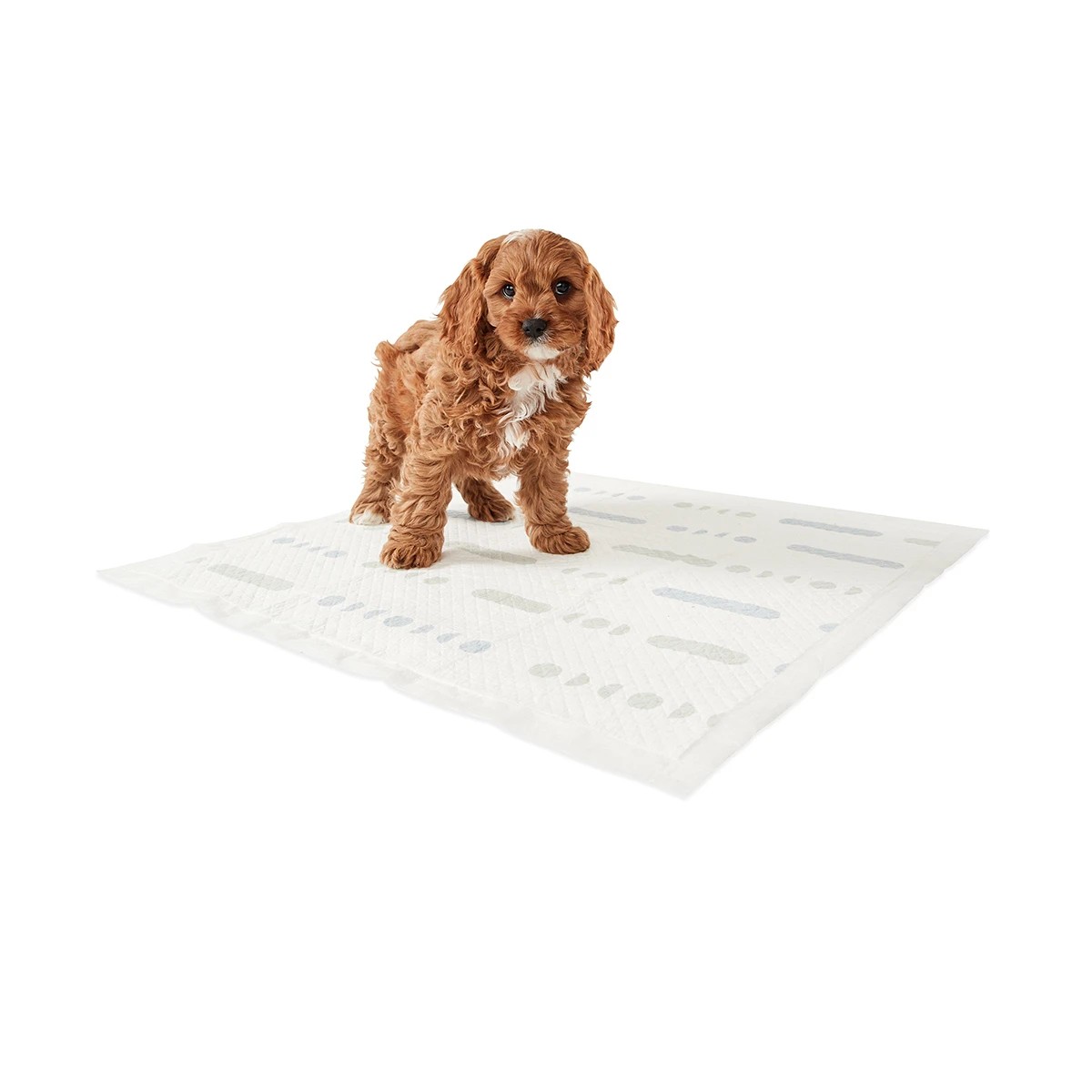 1 20 Pack Scented Puppy Pads, 1 of 7