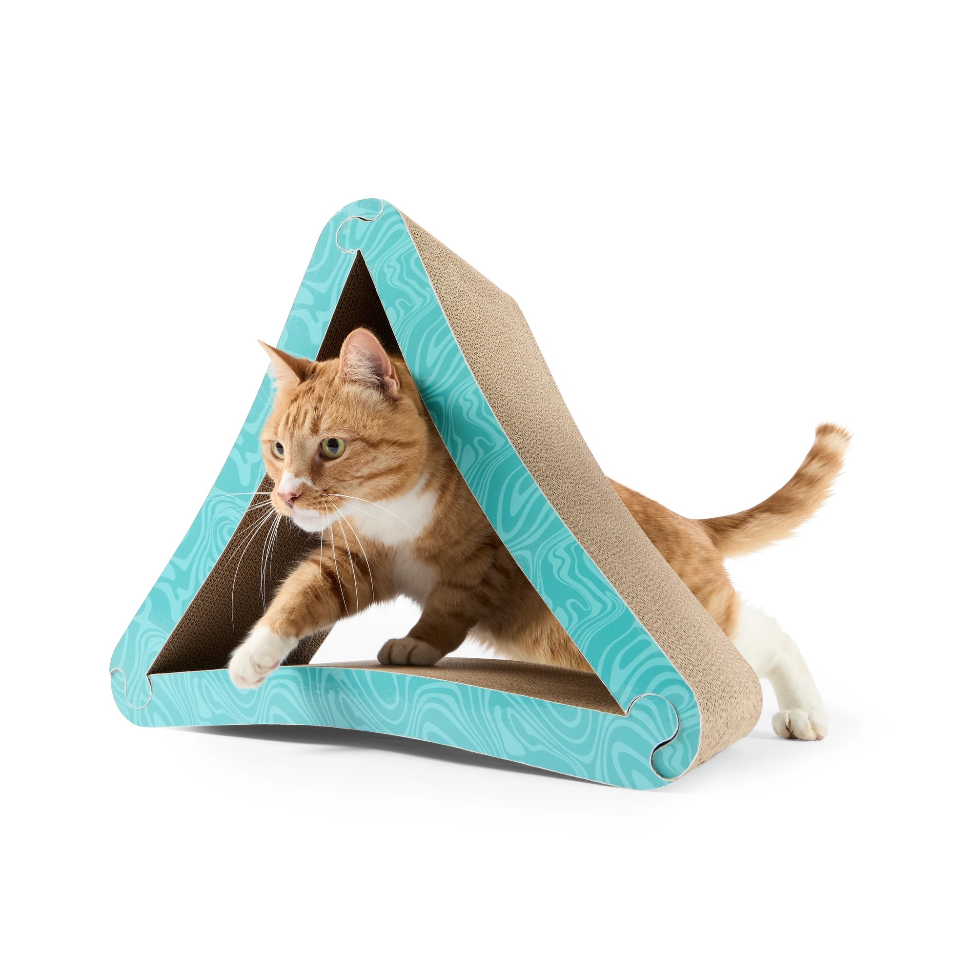 1 Cat Scratcher Triangle, 1 of 10