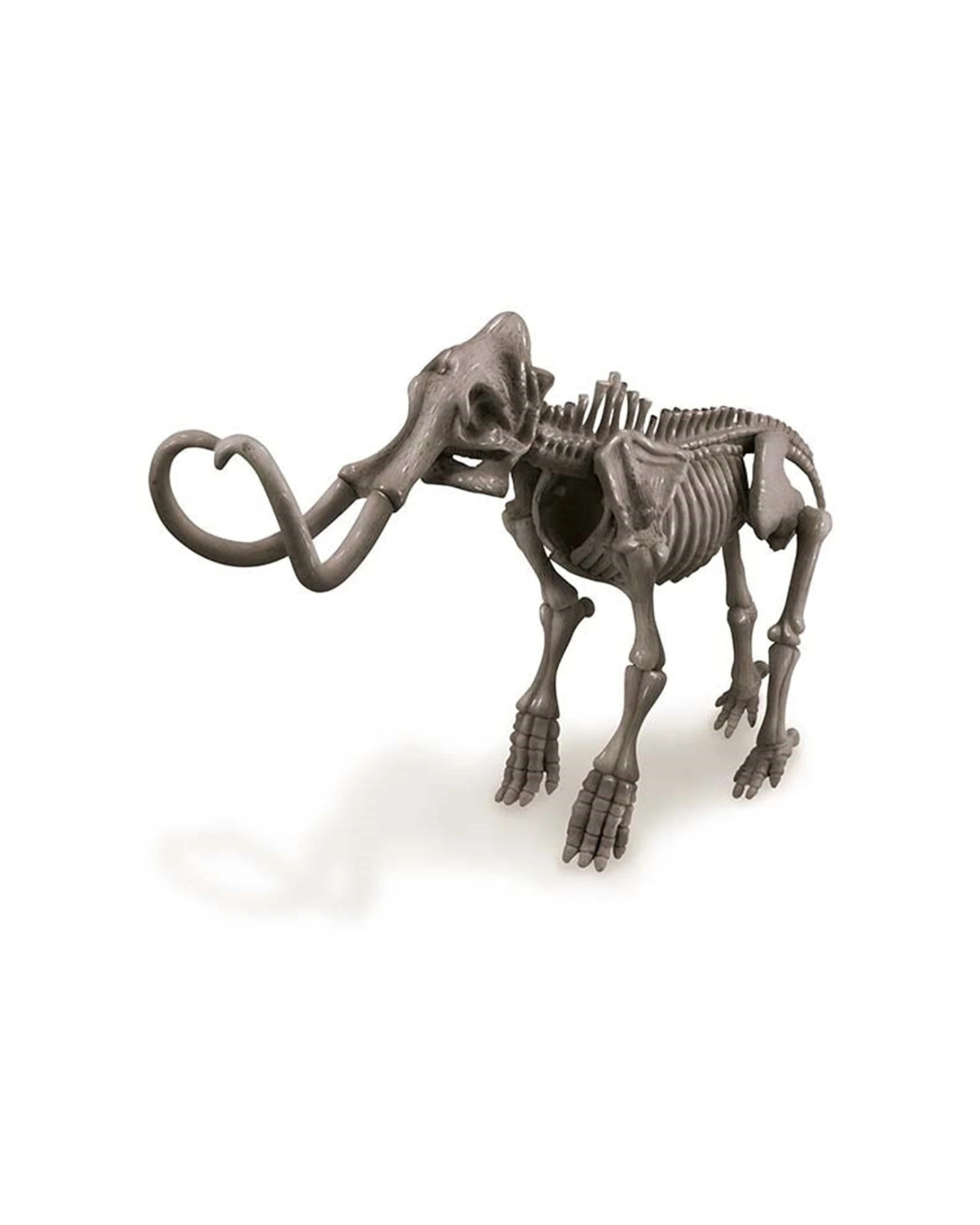 2 4M KidzLabs Dig A Dinosaur Mammoth Assemble Hidden Bones Kids Learning Toy, 2 of 3