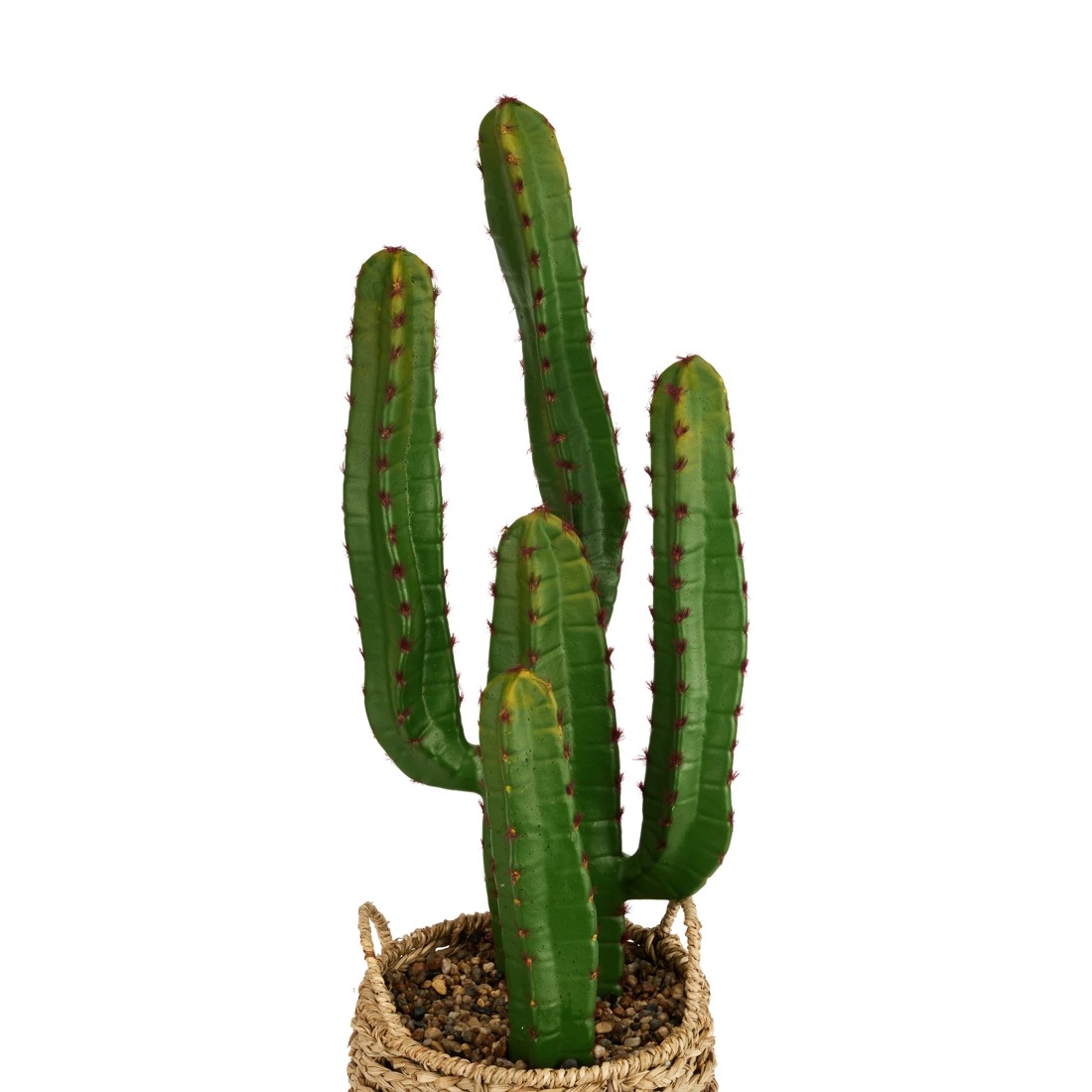 3 Artificial Cactus in Basket, 3 of 6
