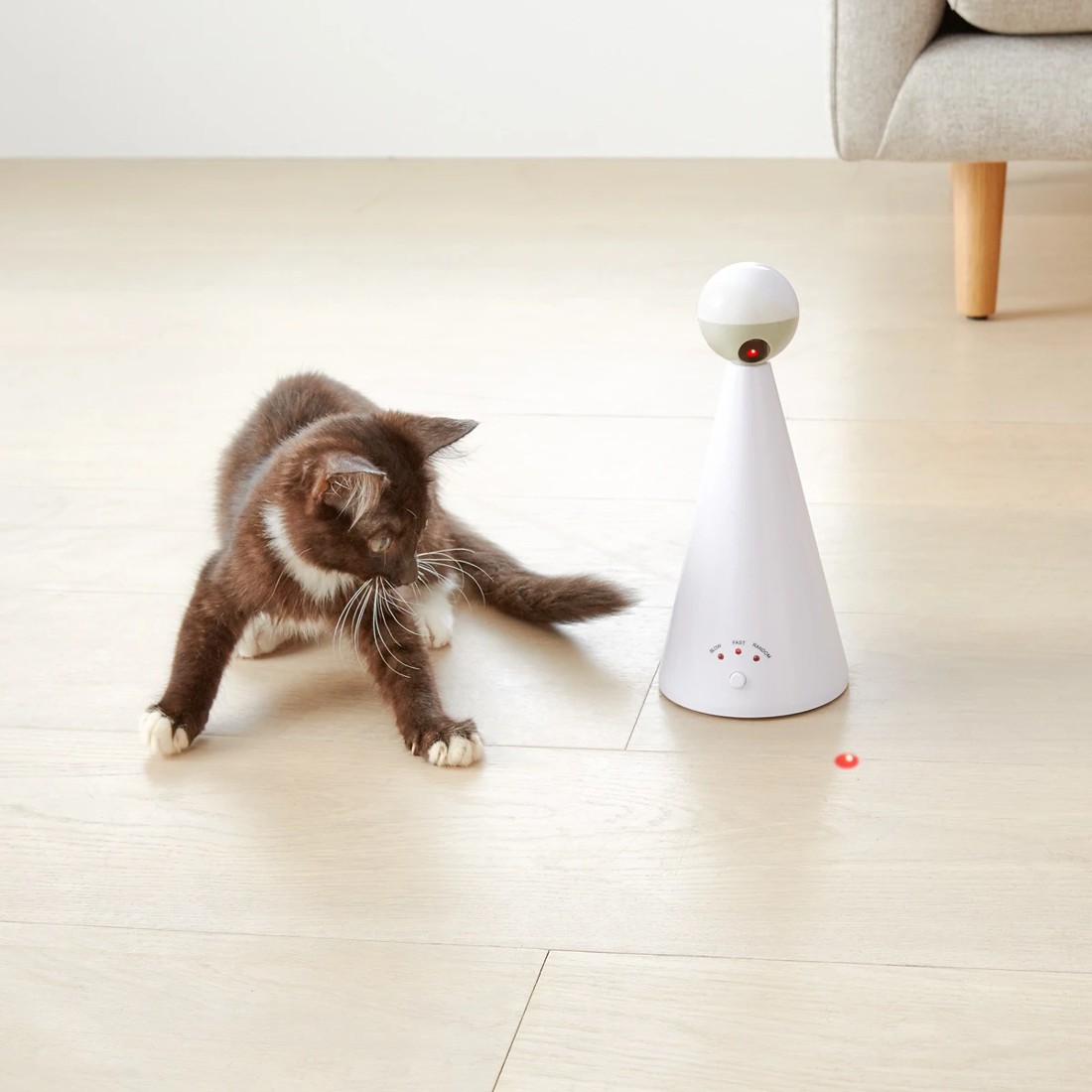 2 Cat Toy Laser, 2 of 2