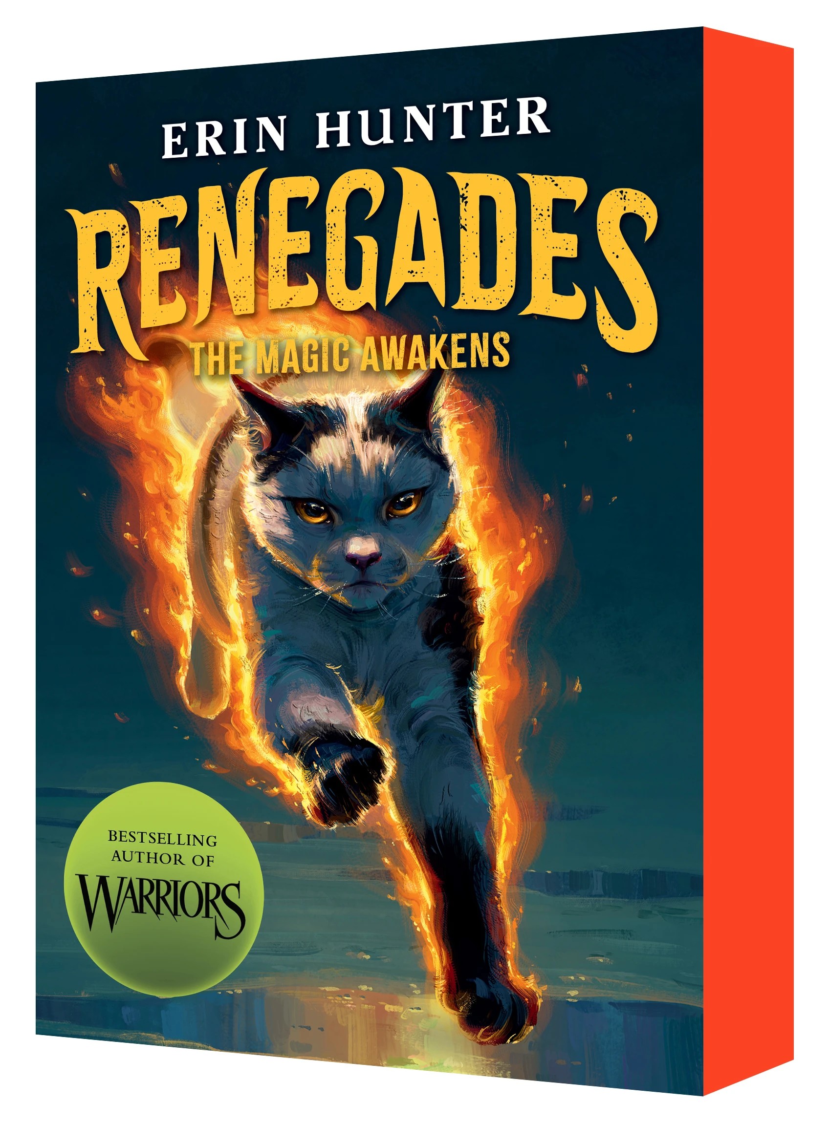 1 Renegades: The Magic Awakens by Erin Hunters - Book, 1 of 1
