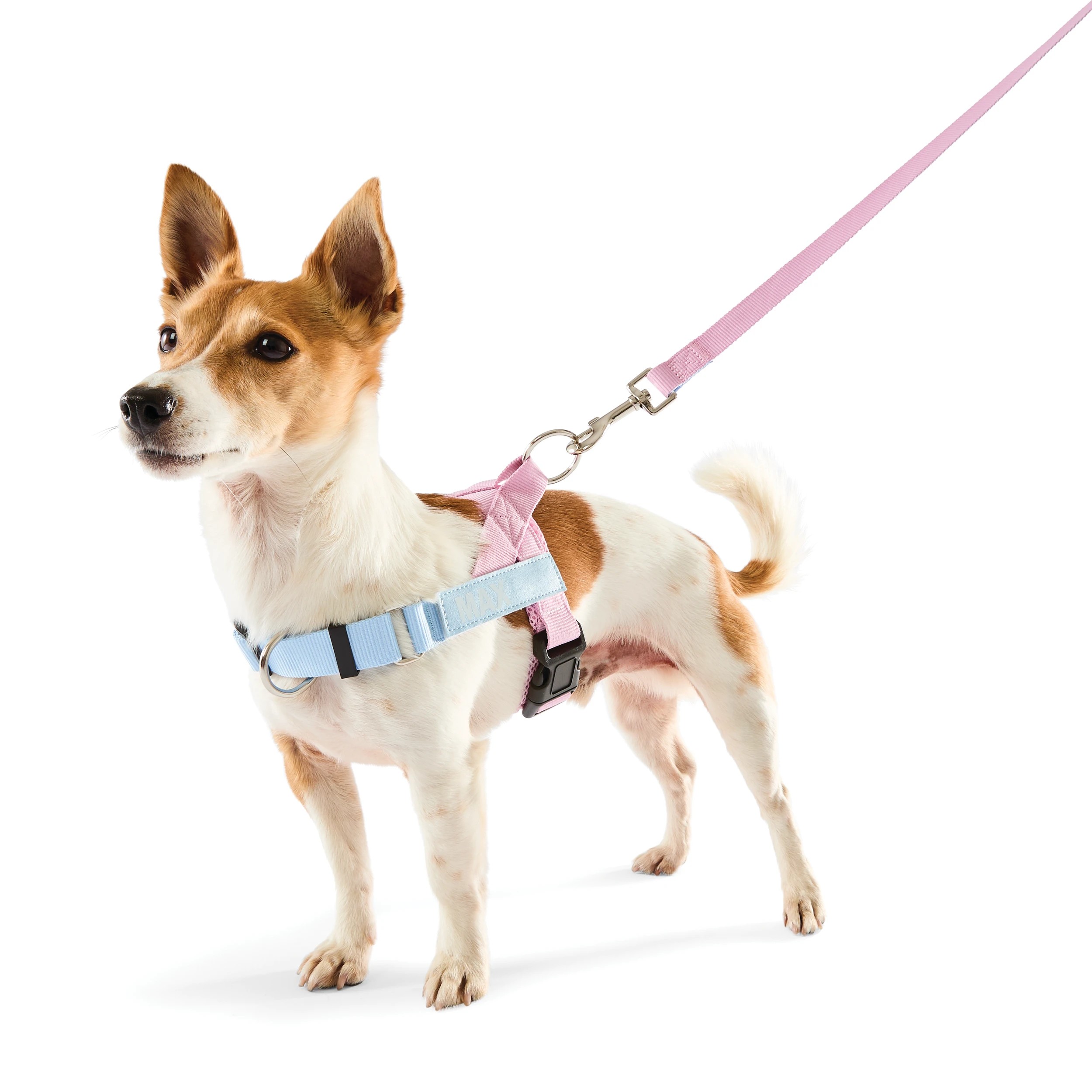 1 Pink Custom Harness Walking Set - Small, 1 of 10