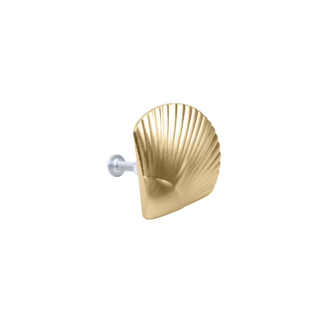 4 2 Pack Shell Handles - Gold Look, 4 of 8