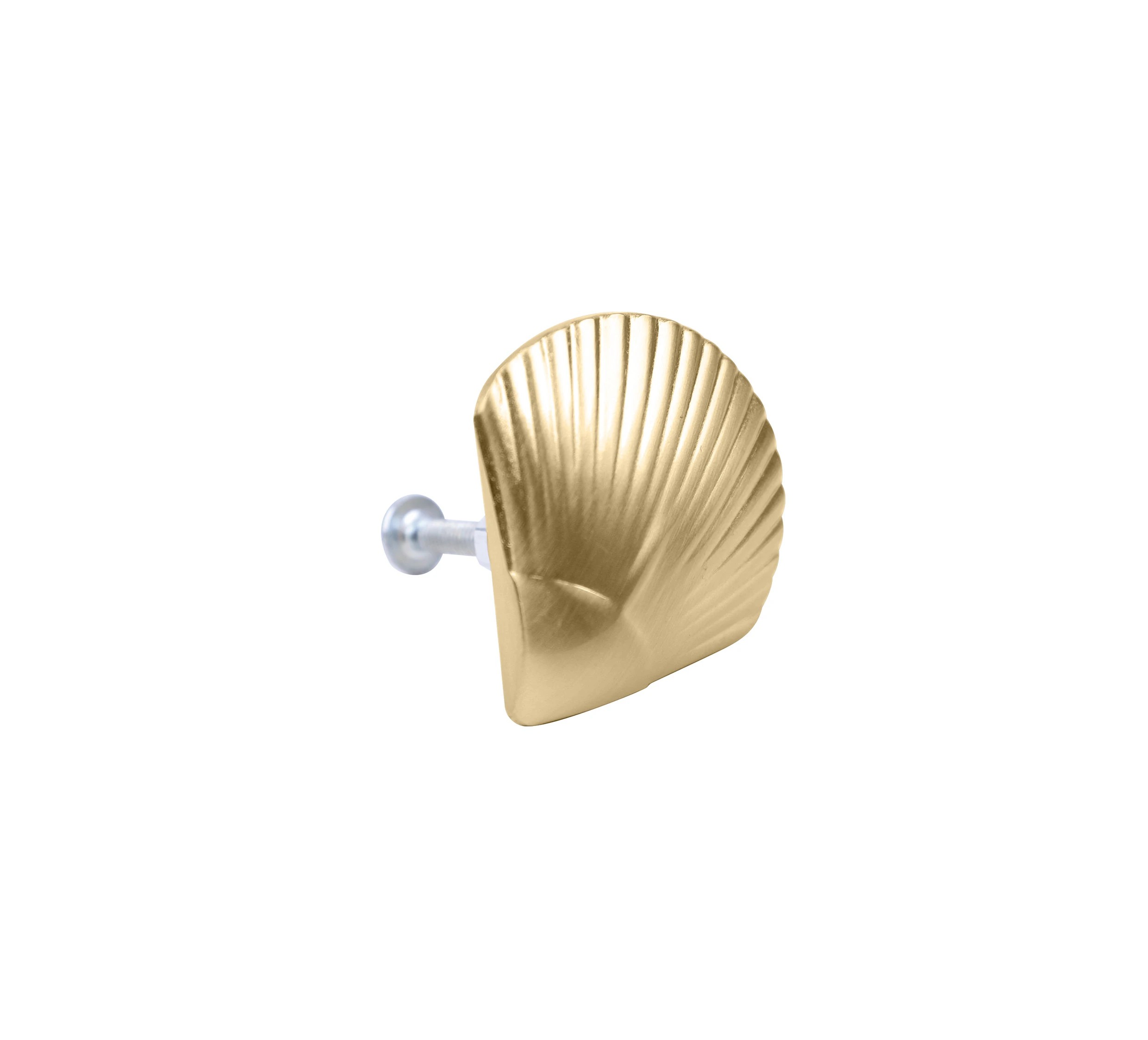 4 2 Pack Shell Handles - Gold Look, 4 of 8