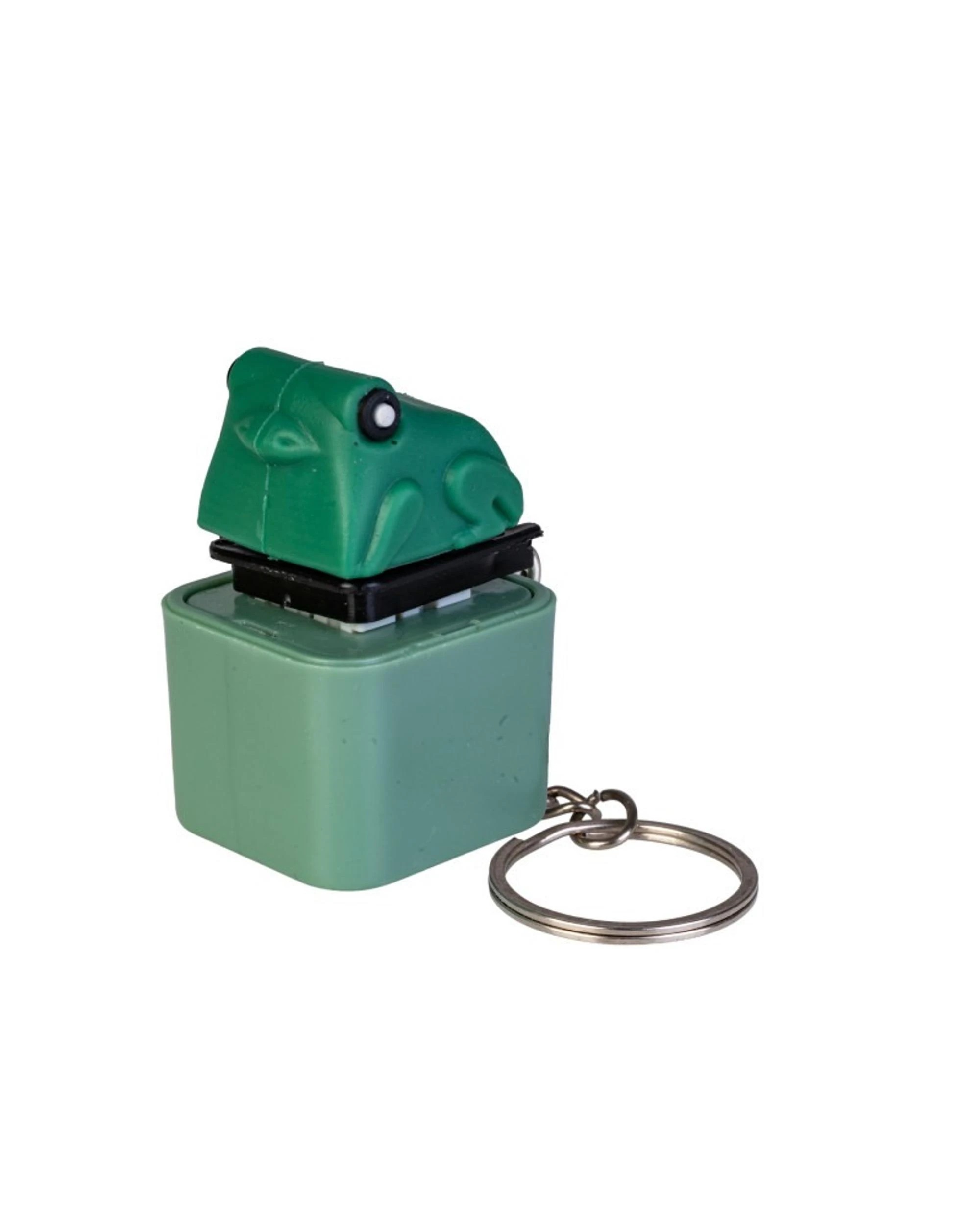 1 MDI Fidget Fingers Sound Clicker Frog Keychain, 1 of 5