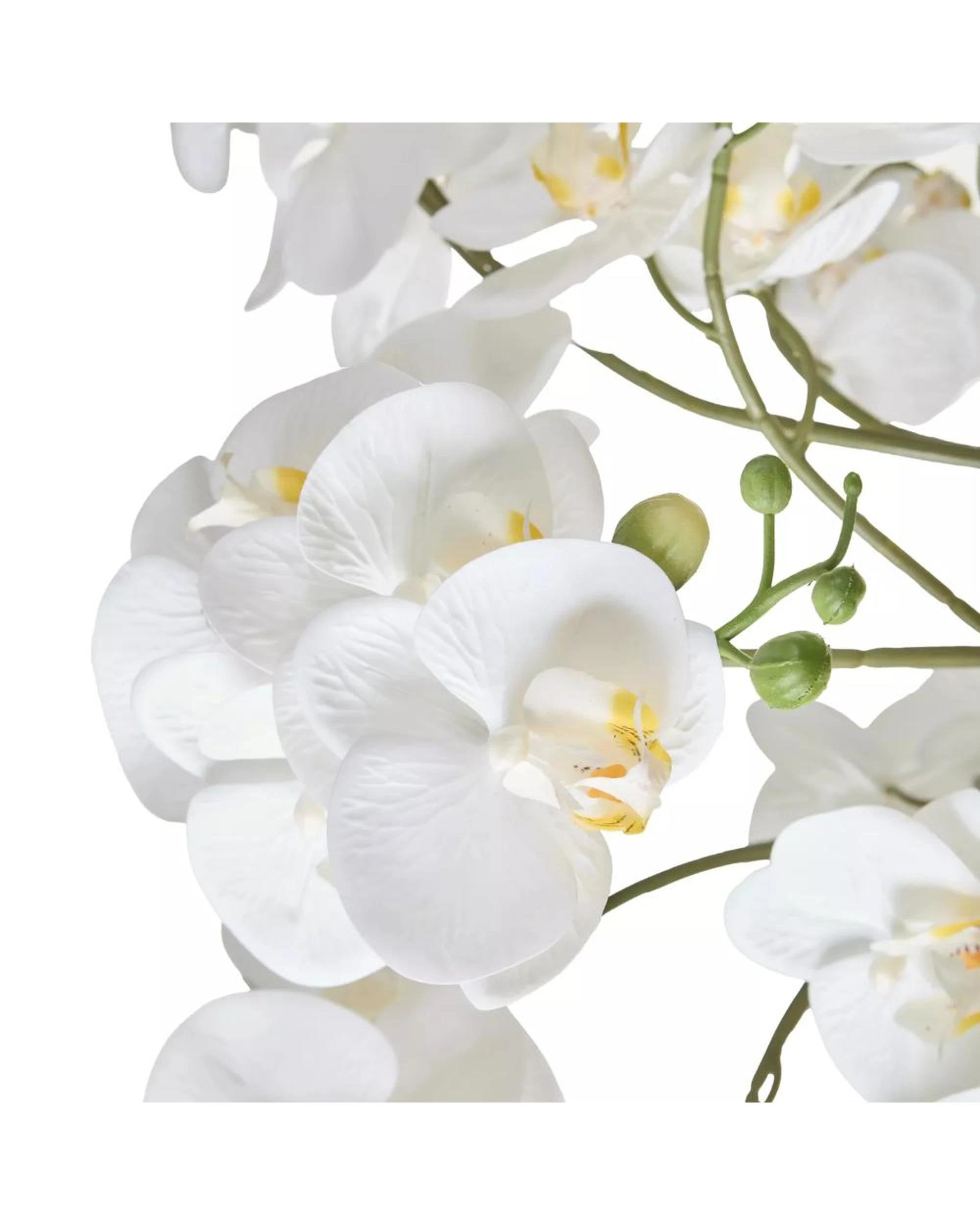2 Rogue Artificial Phalaenopsis Orchid Pot Plant  White 46x46x66cm - White, 2 of 2