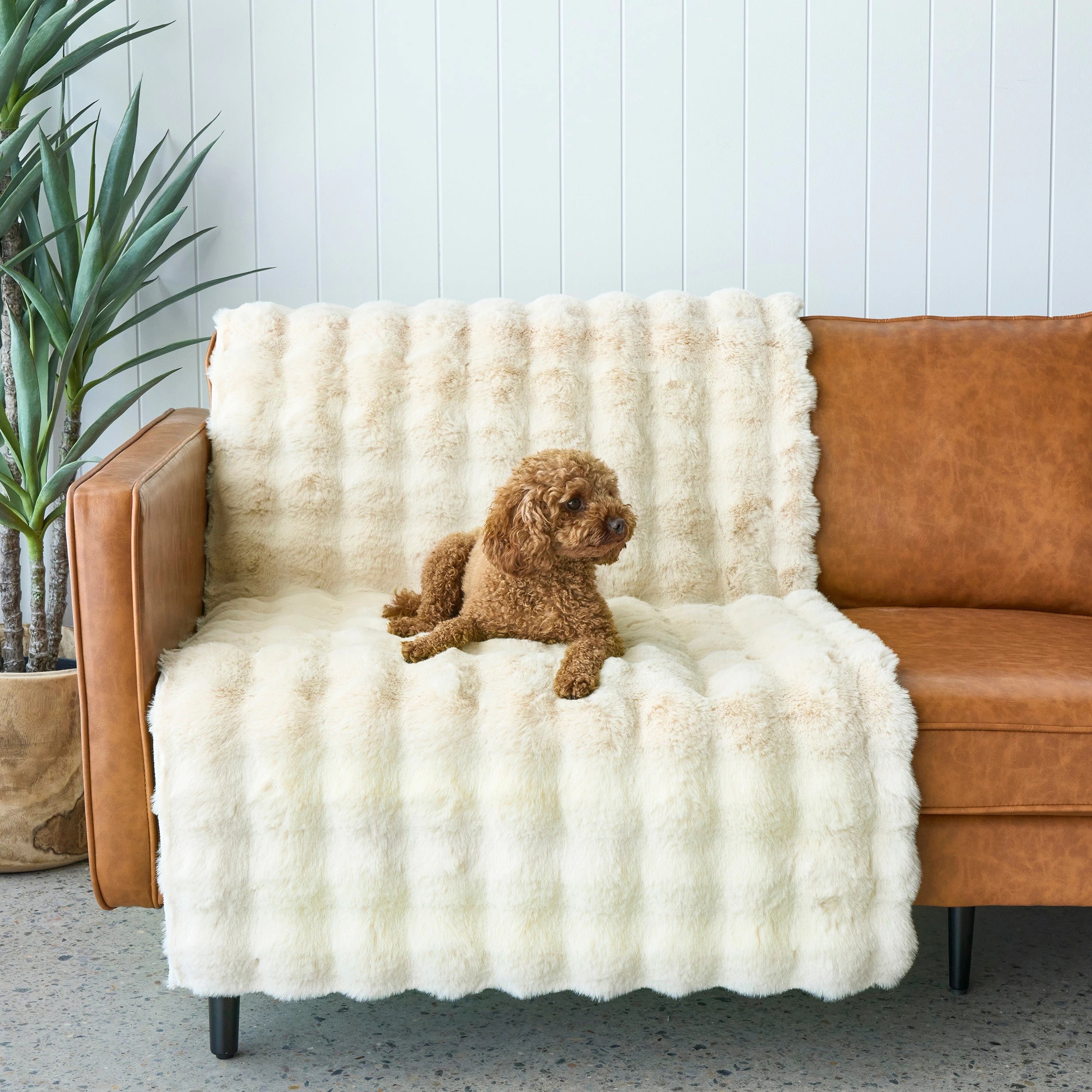 5 Common Ground Rugs PureForm 77 270x180cm - White, 5 of 10