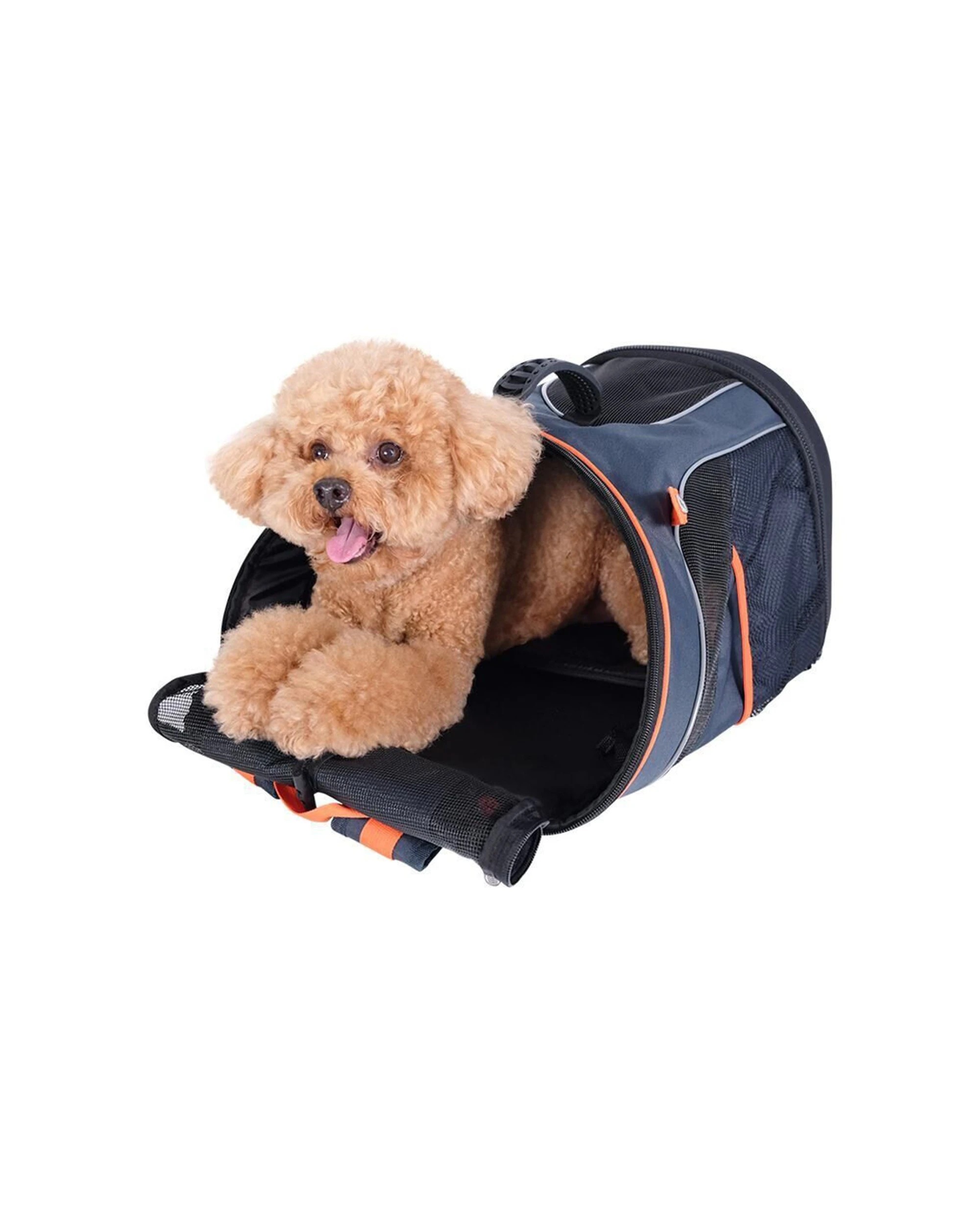 8 Ibiyaya Mesh Pet Backpack Carrier Lightweight Foldable 8kg Safety Tether - Blue, 8 of 8