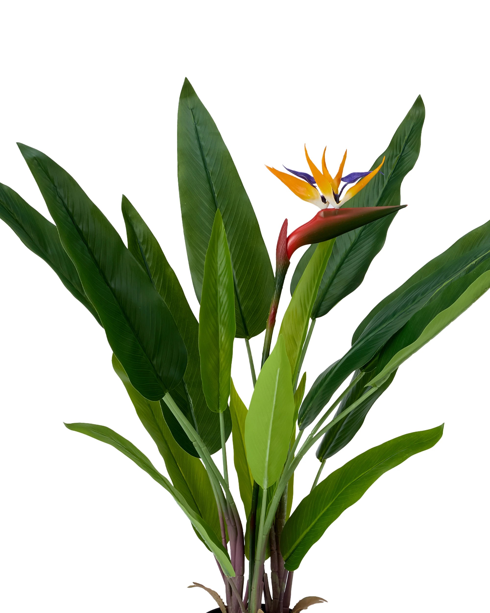 2 Artificial Bird of Paradise Plant, 2 of 3