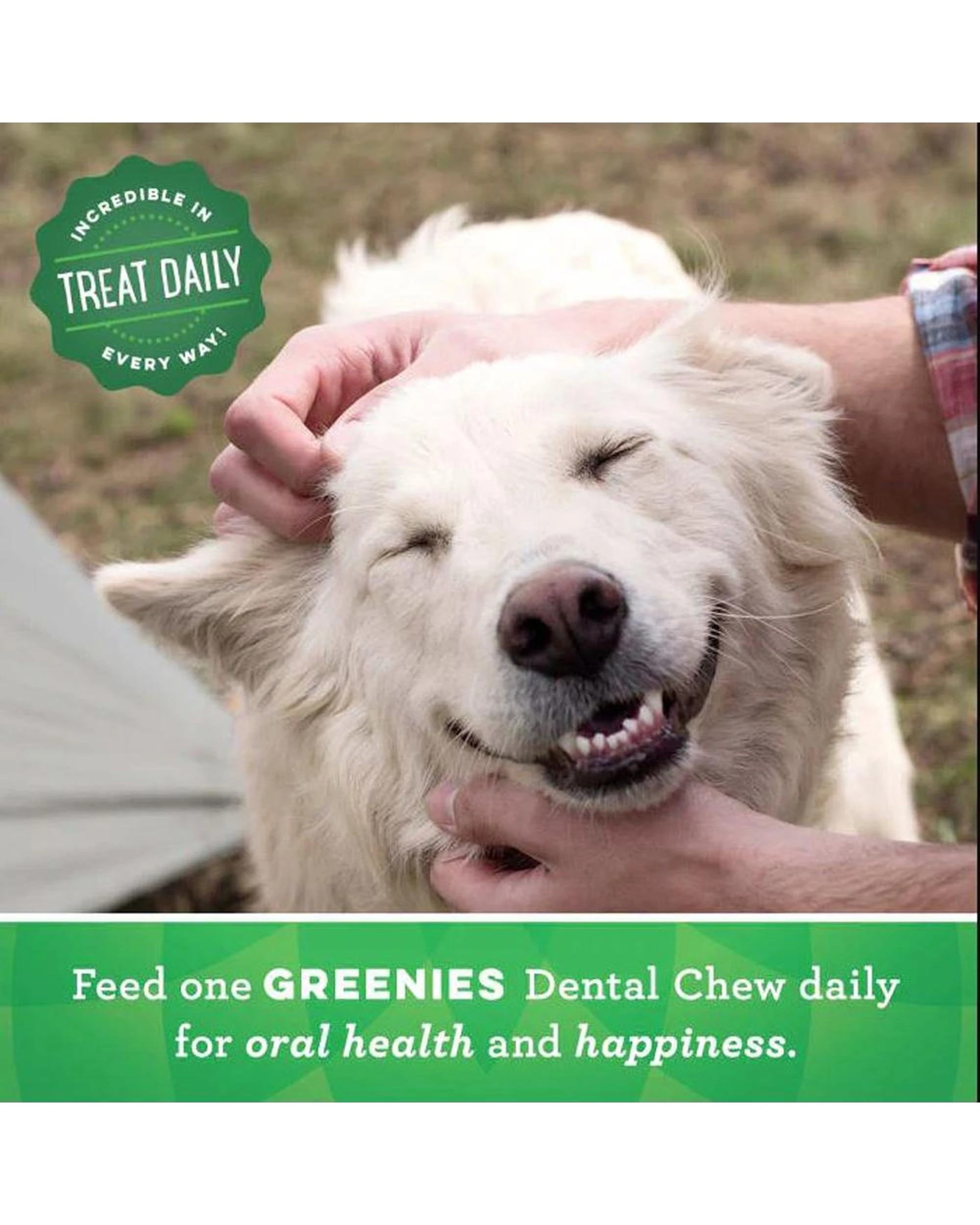 2 Greenies Dental Treats Oral Care Original Large for Dogs 22-45kg 4 Pack, 2 of 9