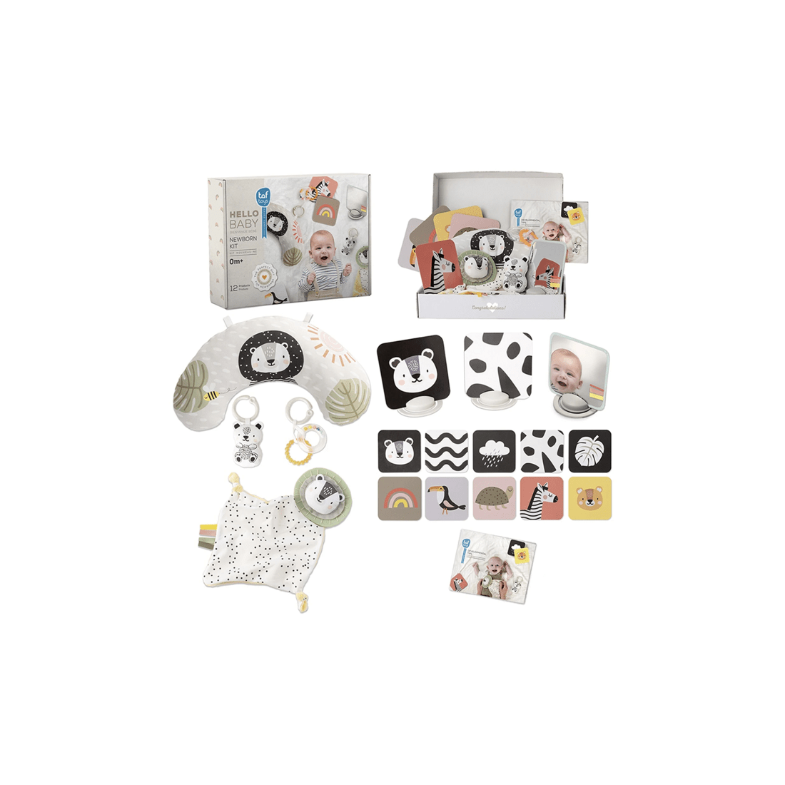 1 Taf Toys Develop And Play Kit Educational Infant Baby Toy 0 Months Plus
 - Multi, 1 of 9