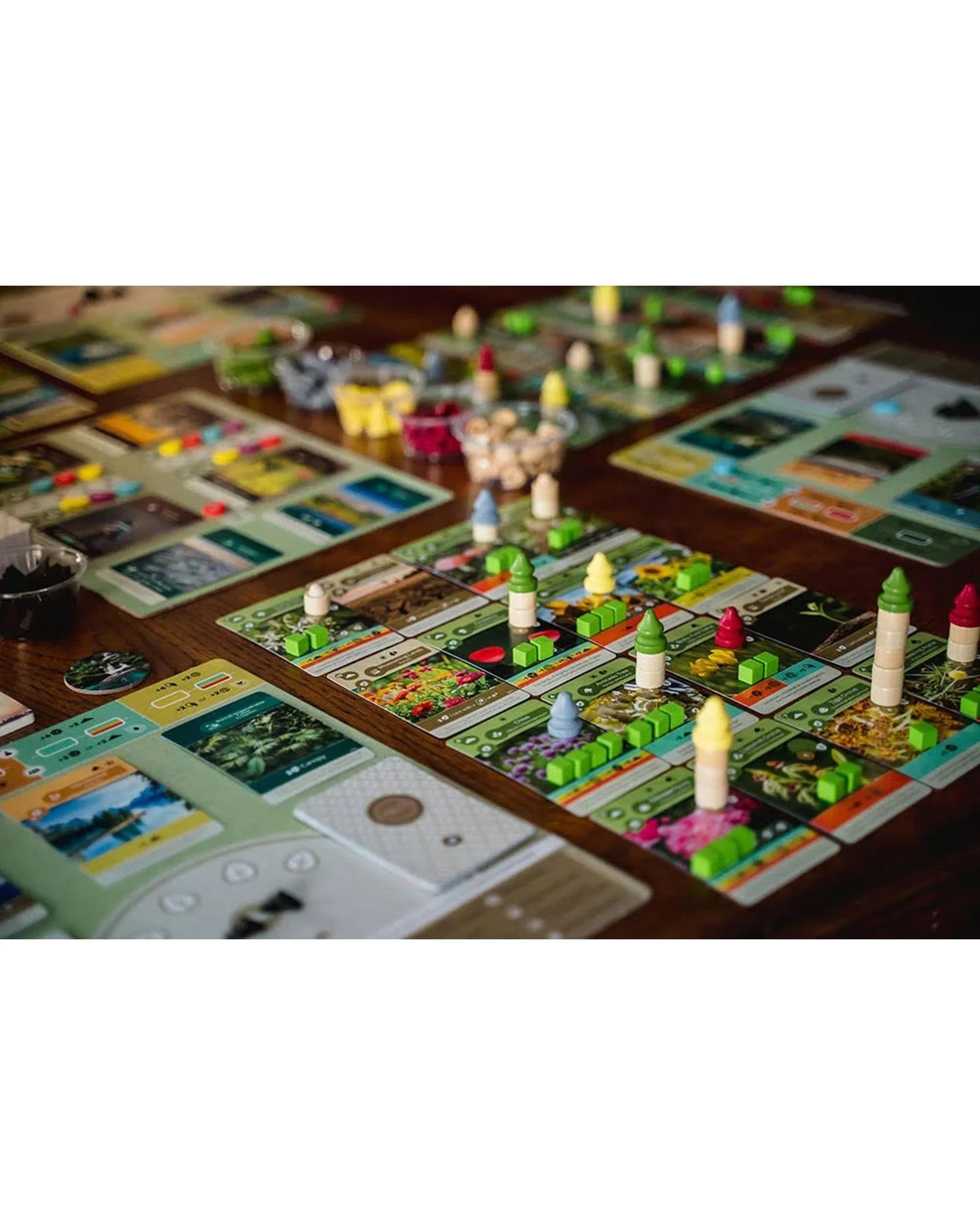 4 Earth Board Game, 4 of 4