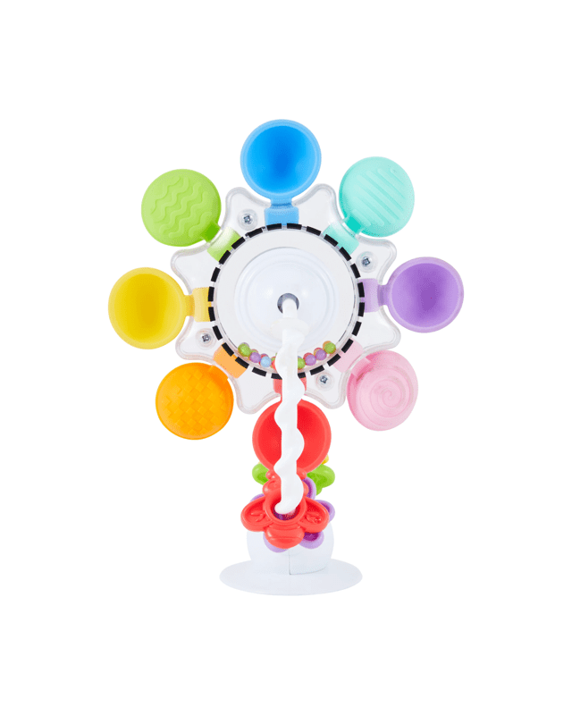 Sensory Ferris W