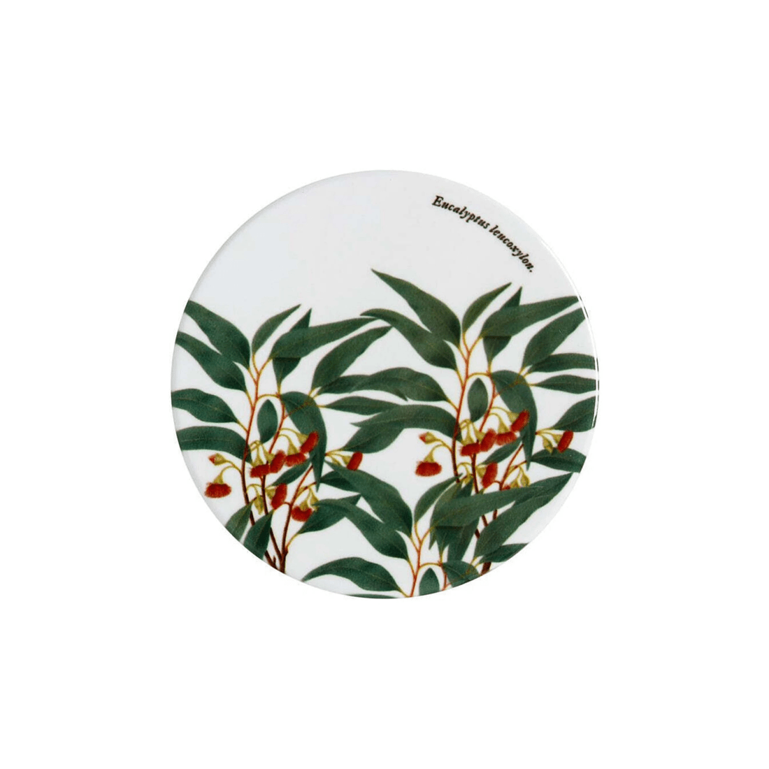 3 Maxwell & Williams Botanic Gardens Victoria Ceramic Coaster 9.5cm Cork Backing
 - Multi, 3 of 3