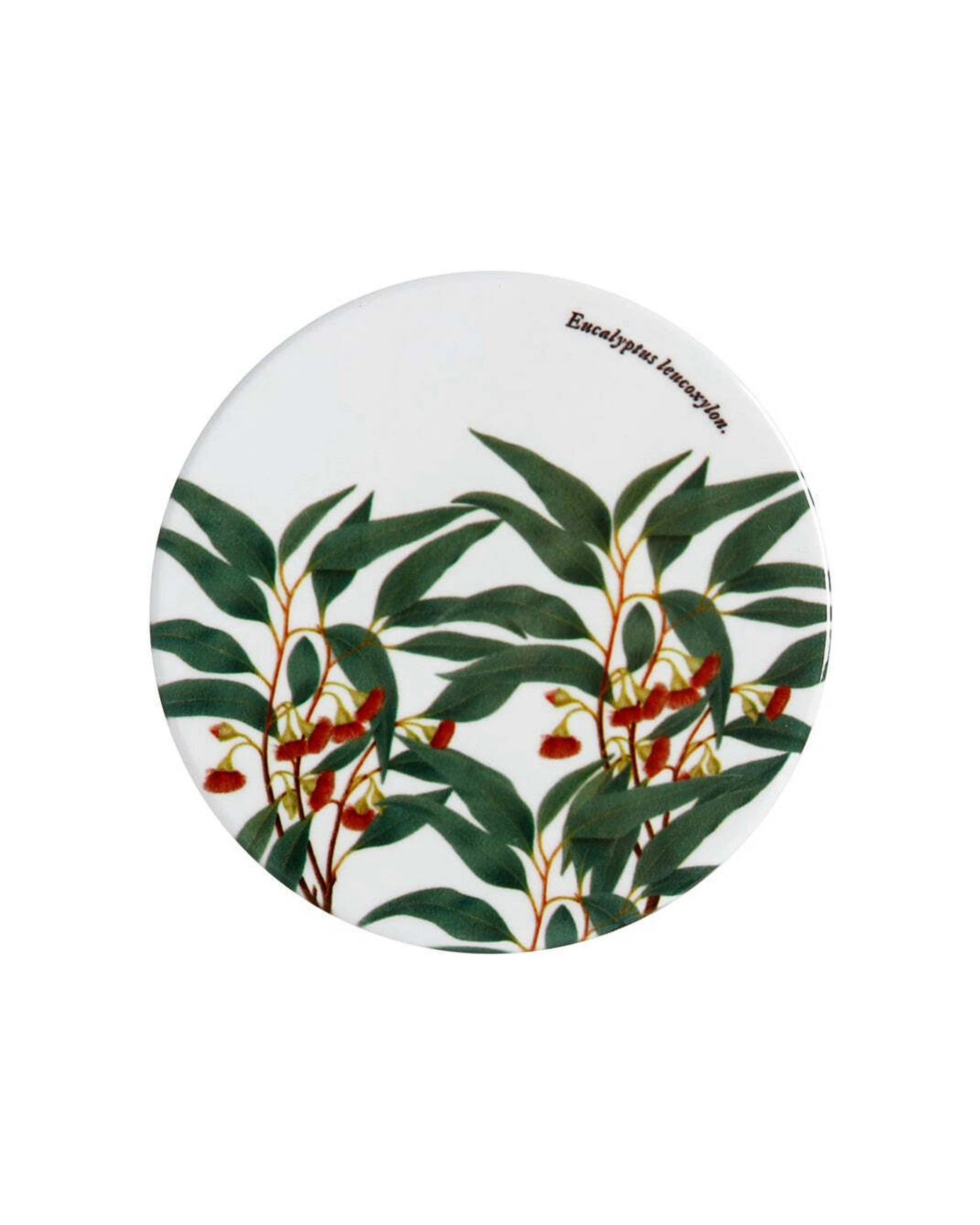 3 Maxwell & Williams Botanic Gardens Victoria Ceramic Coaster 9.5cm Cork Backing, 3 of 3