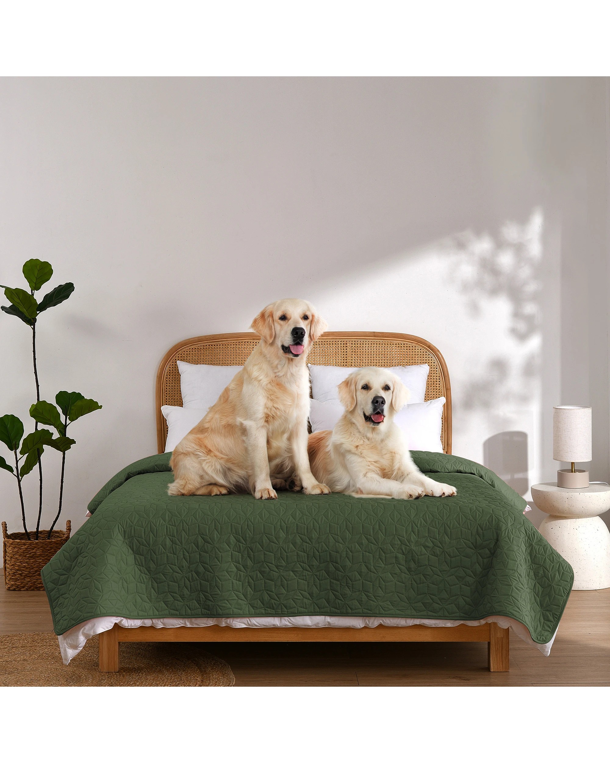 2 Charlie's Sofur Waterproof Dog Bed Cover Protector King/Super King 208x305cm - King/Super King Bed - Olive, 2 of 10