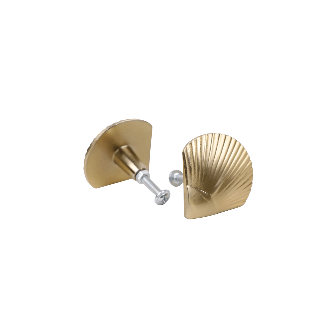 2 2 Pack Shell Handles - Gold Look, 2 of 8