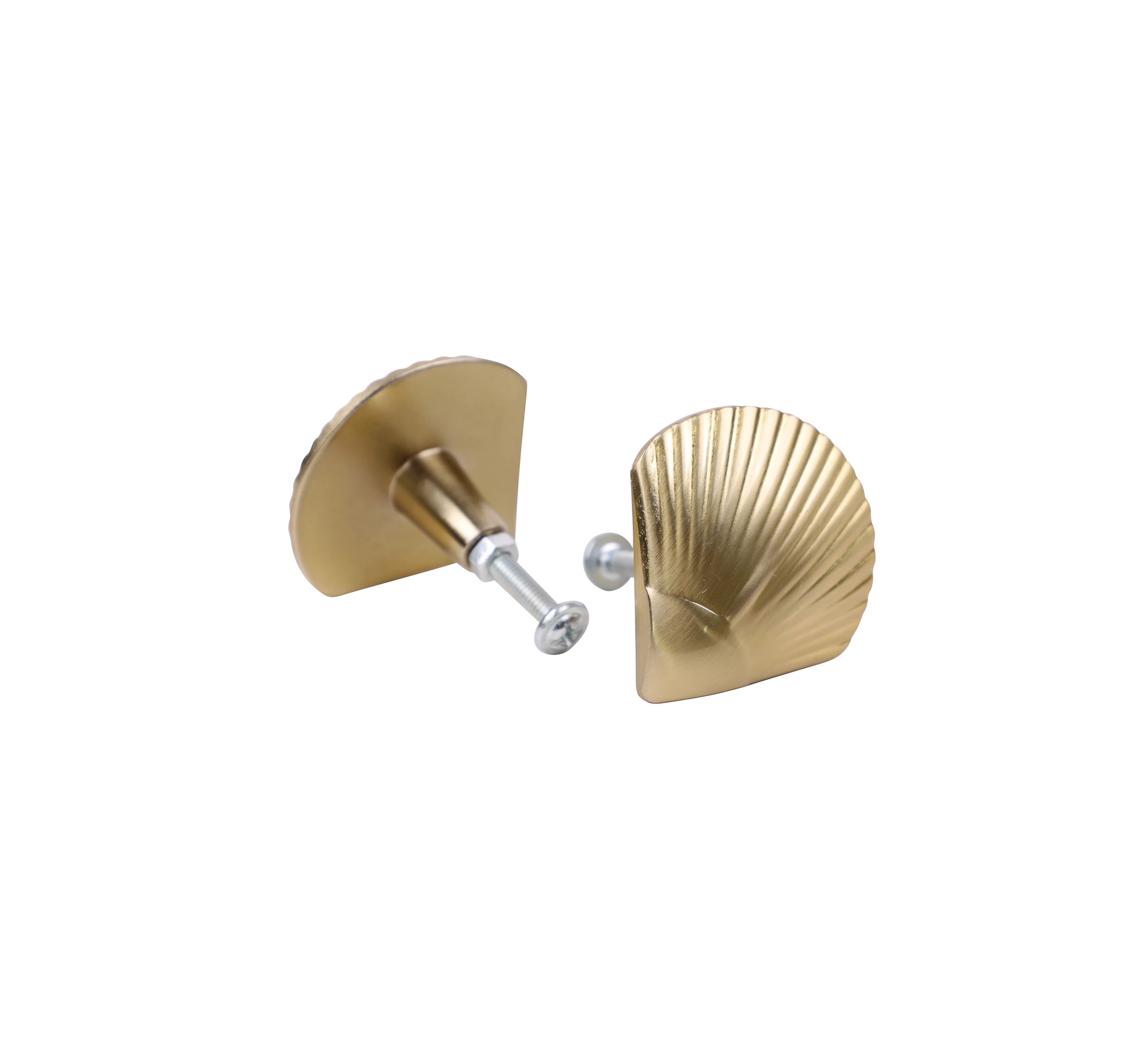 2 2 Pack Shell Handles - Gold Look, 2 of 8