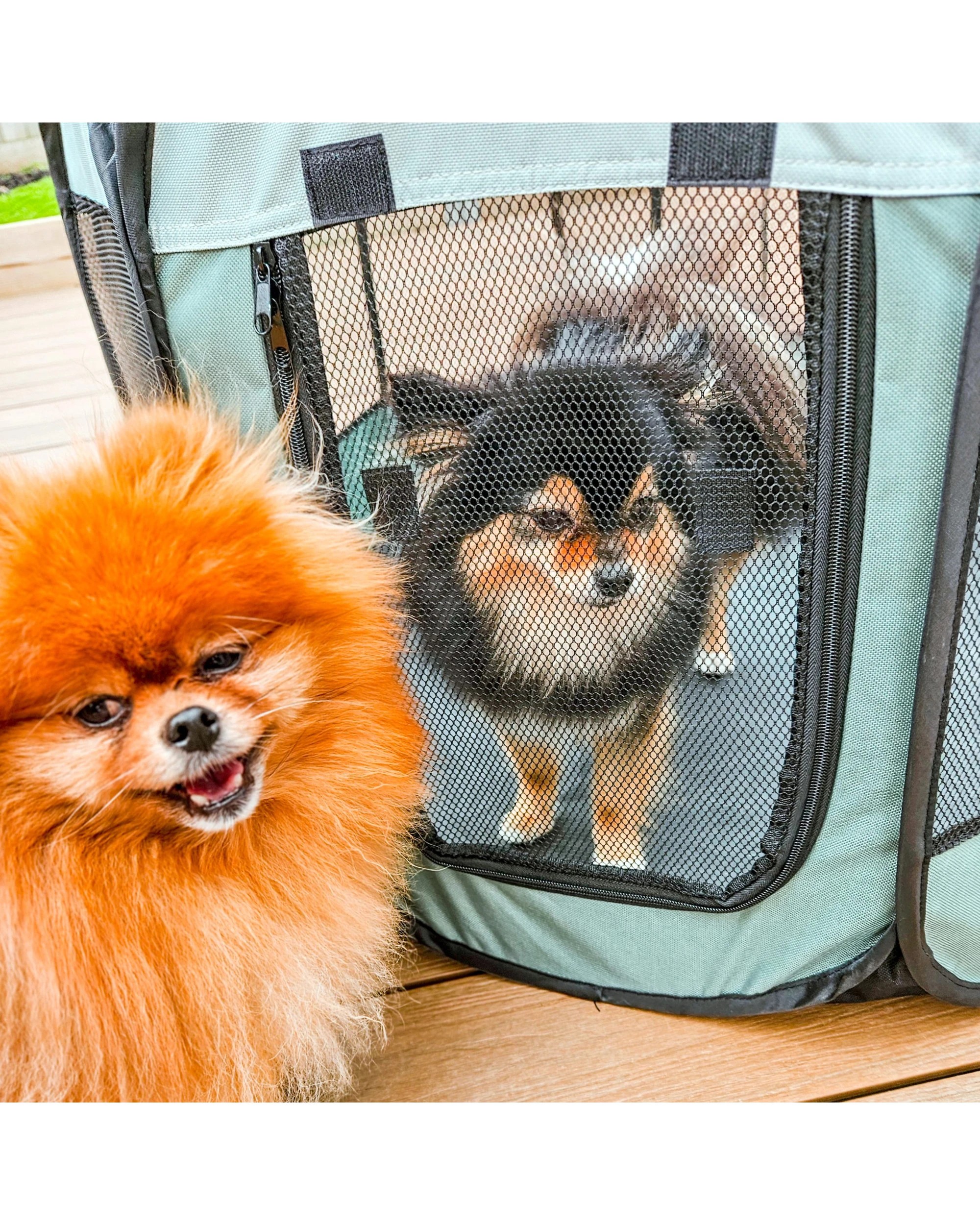 10 Charlie's Adventure Pet Playpen Foldable Portable Crate Small - Green, 10 of 10