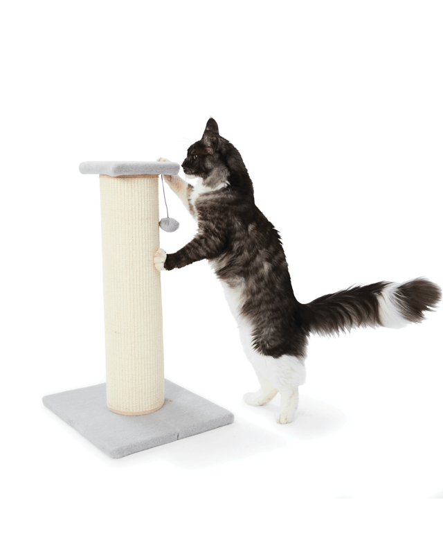 Cat Scratcher Wide - Me