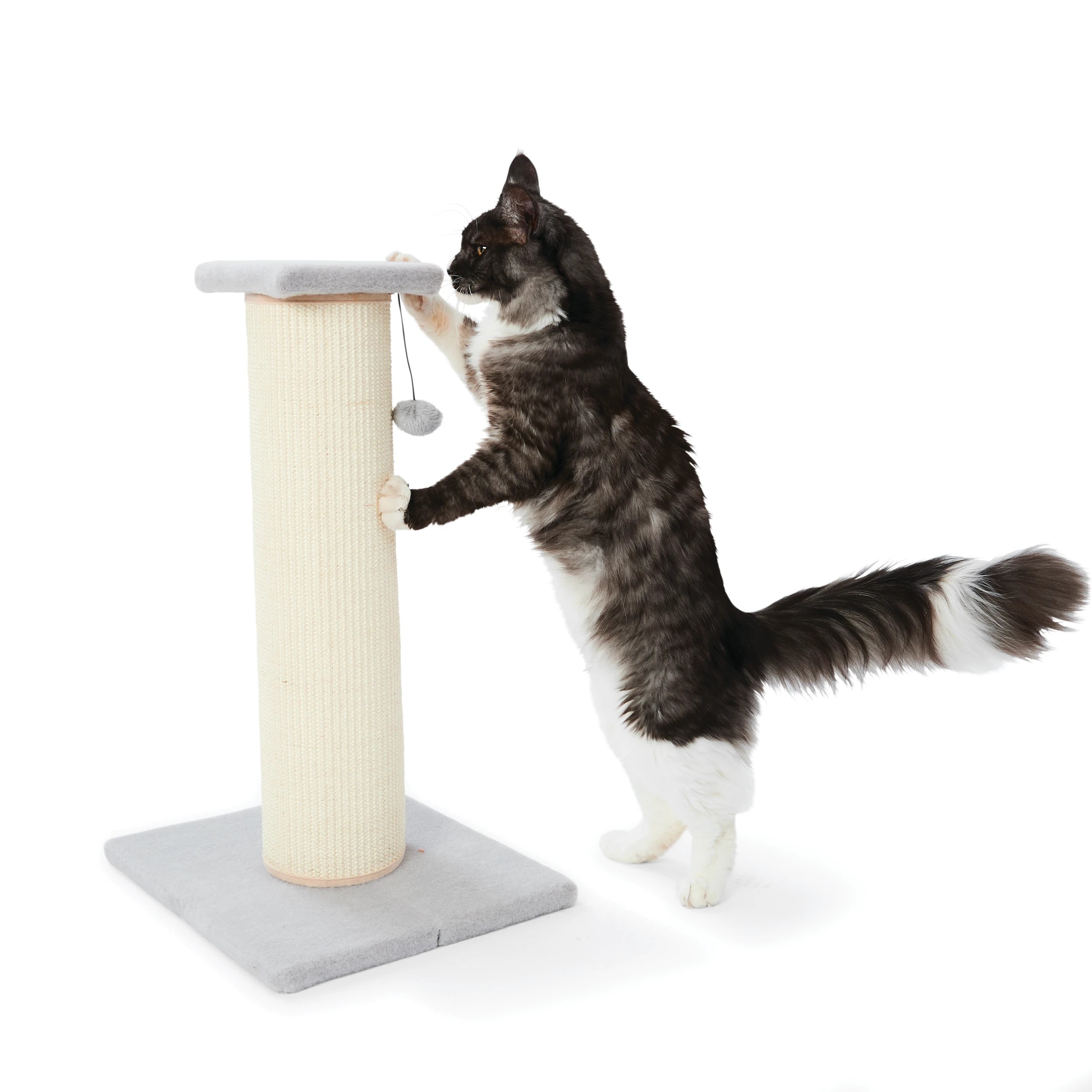 1 Cat Scratcher Wide - Medium, 1 of 10