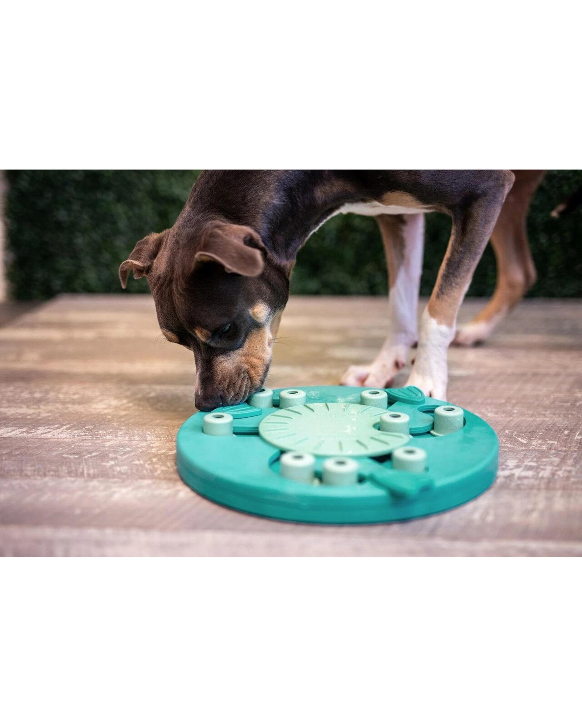 8 Outward Hound Nina Ottosson Dog Worker Treat Dispenser Dog Toy Green - Green, 8 of 8