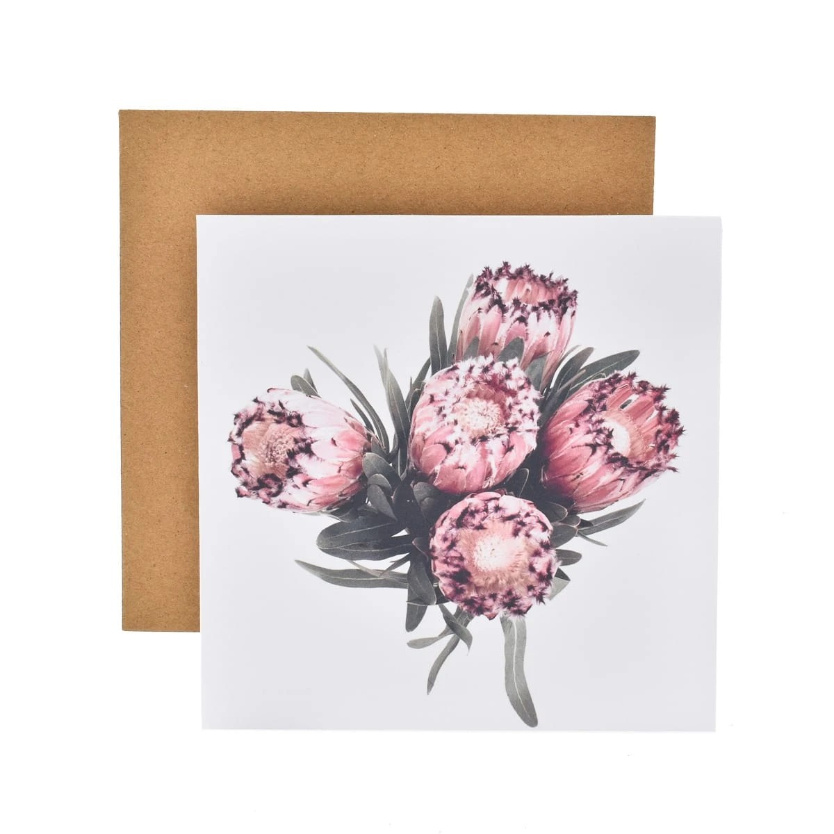1 Hallmark Gallery Blank Card by Donna Delaney - Pink Protea, 1 of 3