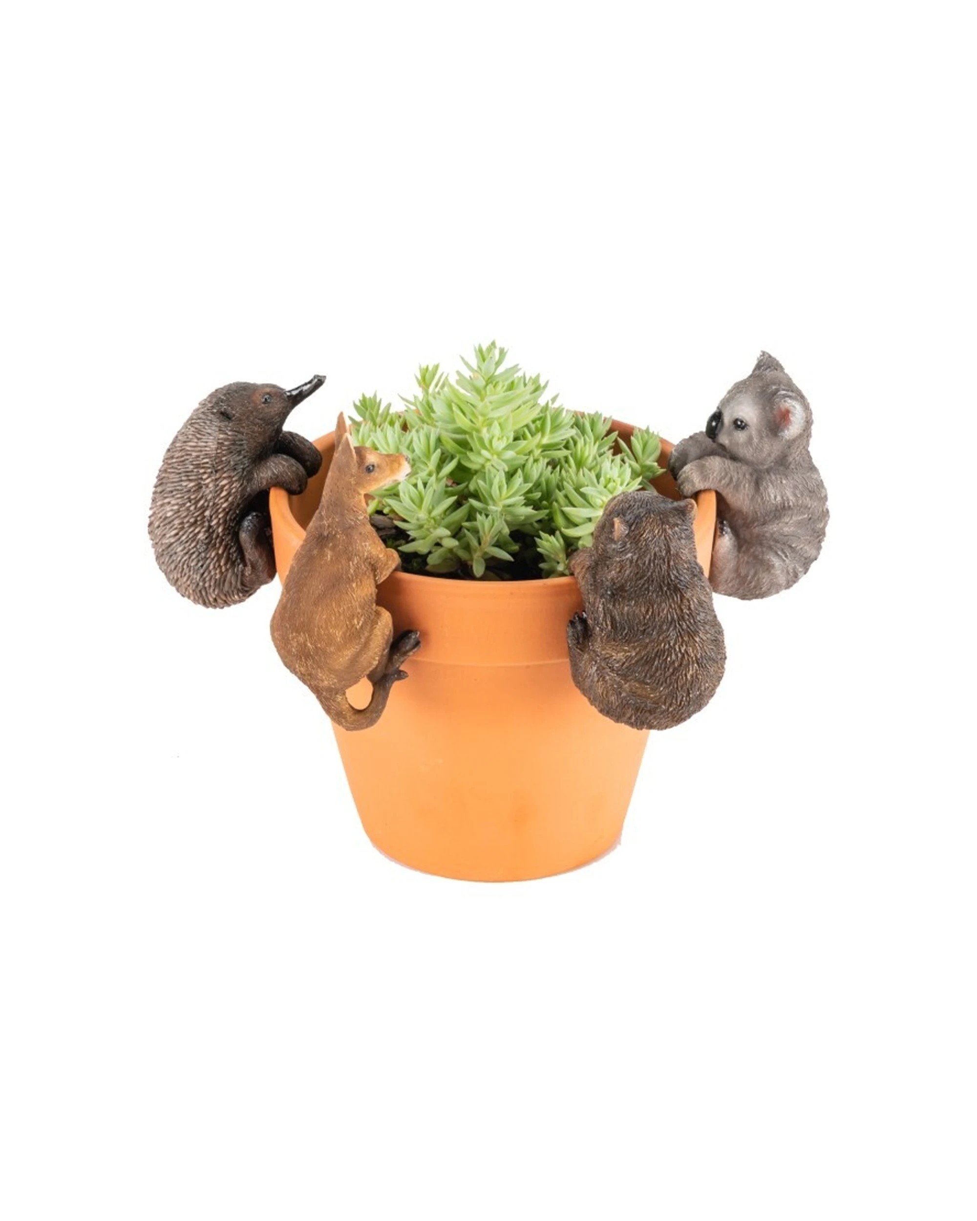 2 Alfresco Aussie Animal Pot Planter Sitter Ornament Decor Design Random Selection - Multi, 2 of 2