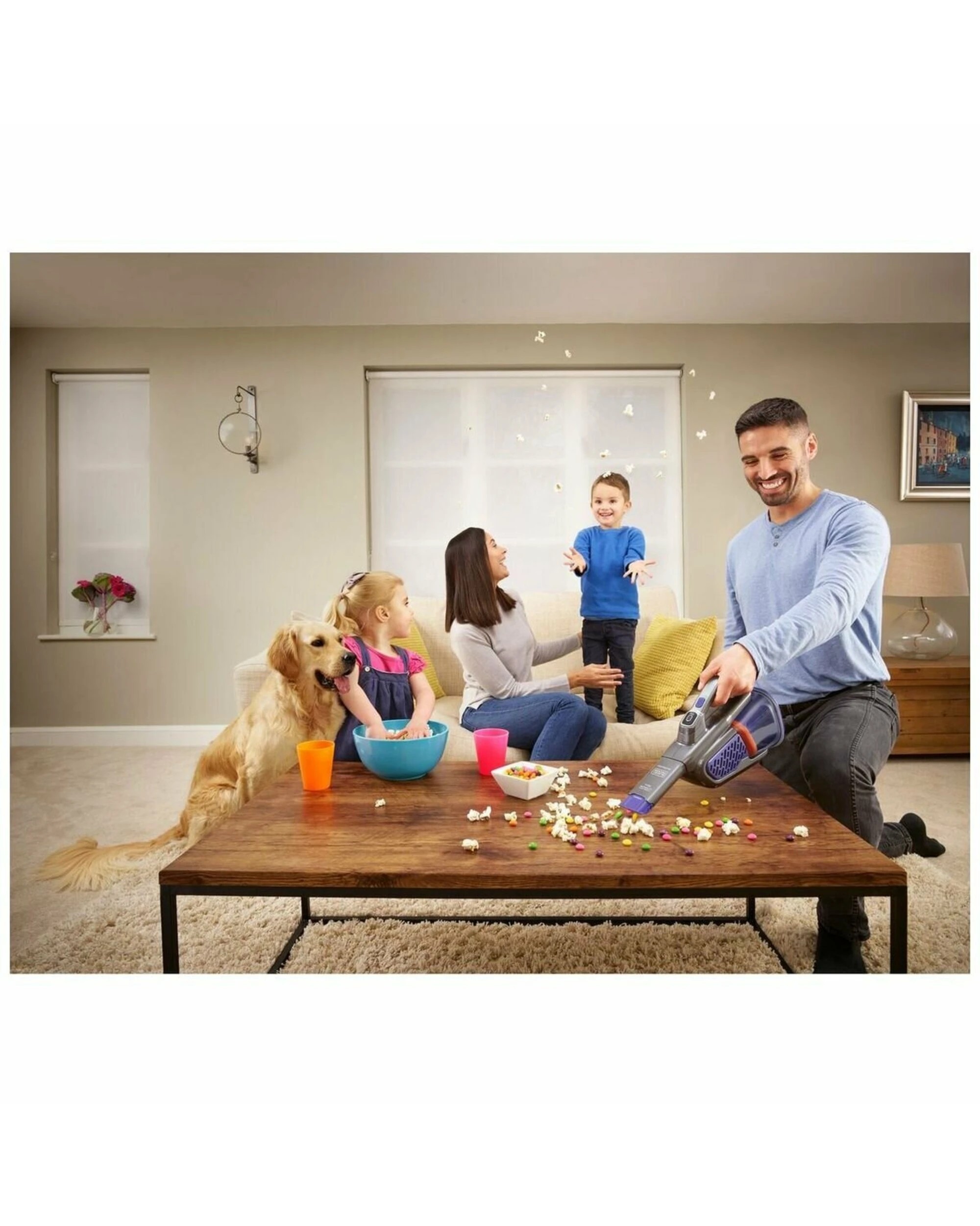 5 Black & Decker 18V Lithium Ion Pet Dustbuster, 5 of 5