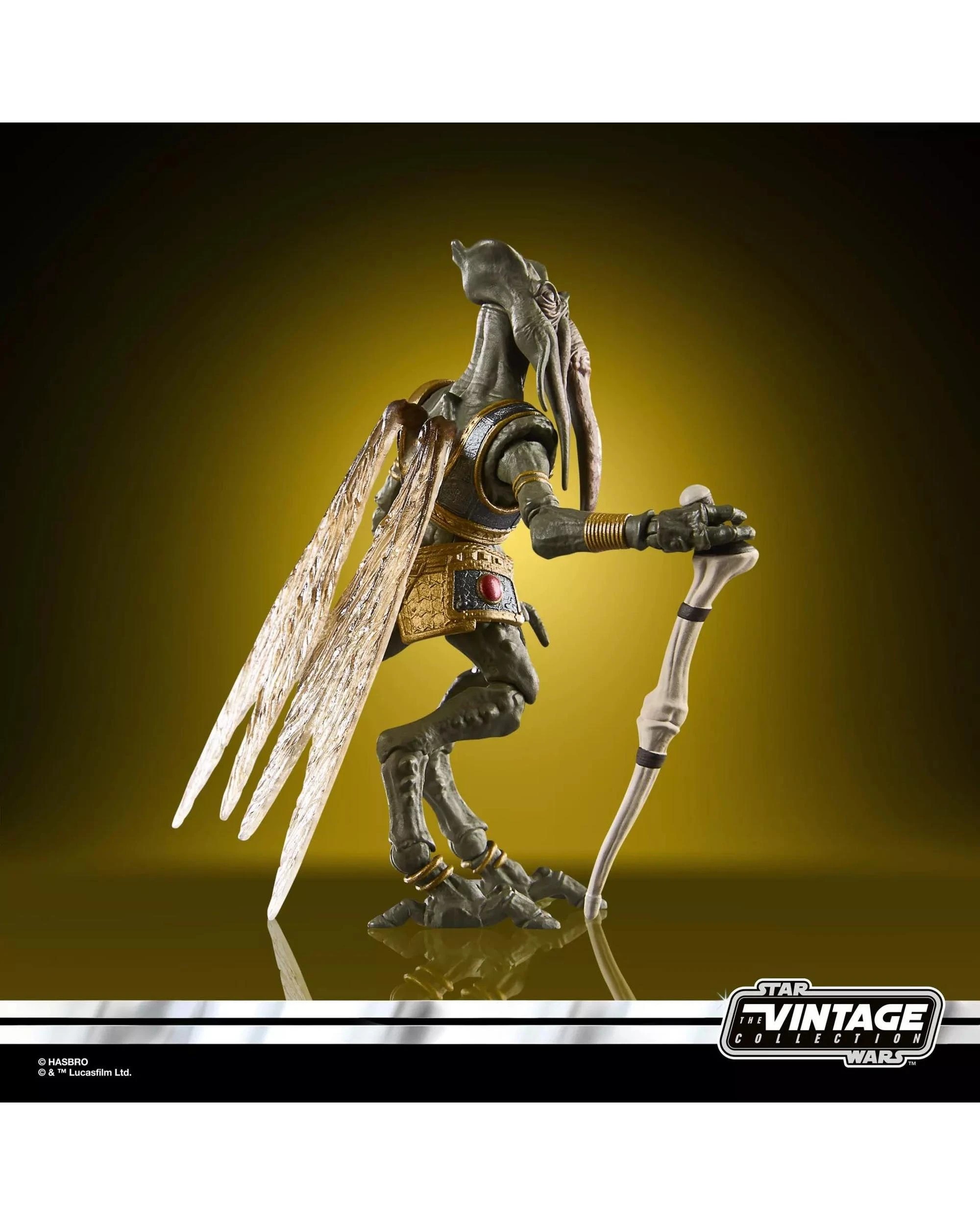 3 Star Wars The Vintage Collection Poggle the Lesser, 3 of 9