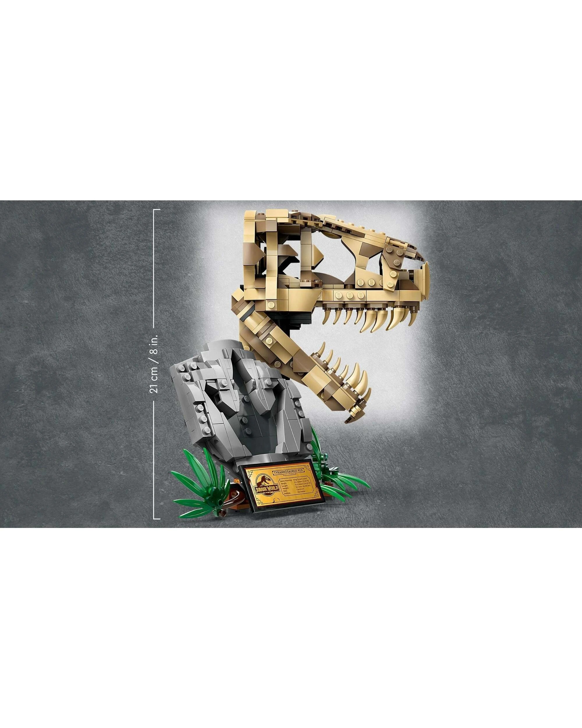 4 LEGO Jurassic World Series 76964 Dinosaur Fossils: T.rex Skull, 4 of 4